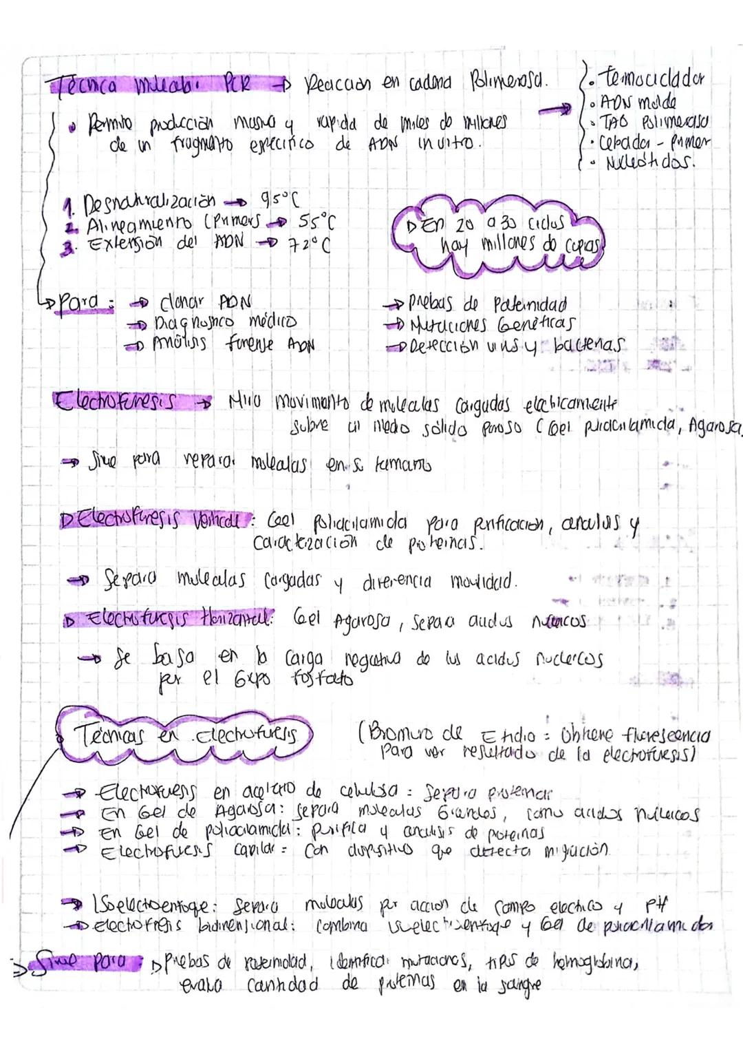 1
Técnicas Biologia Molecular
• ADN condral Produce energia necesand.
• ADN Macaracteristicas del includuo, pristernas.
Fuentes de obtención
