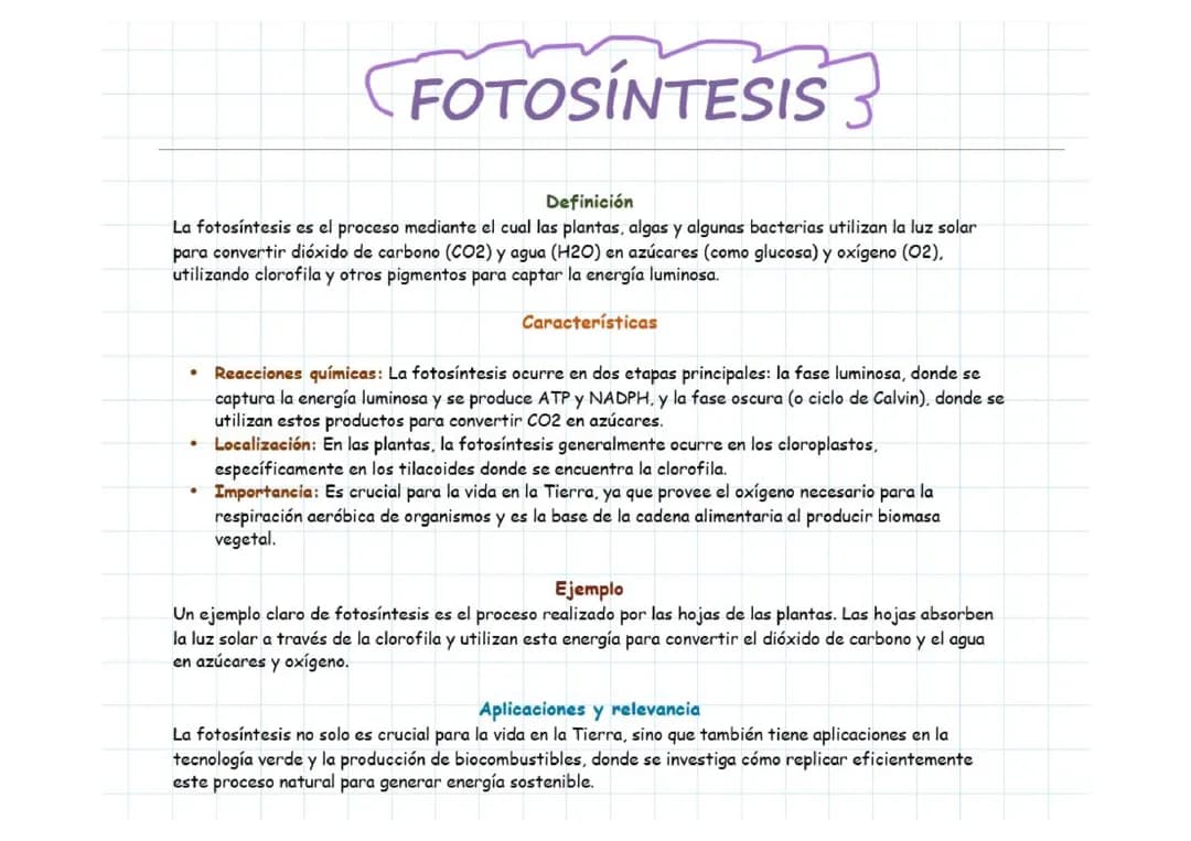 FOTOSÍNTESIS