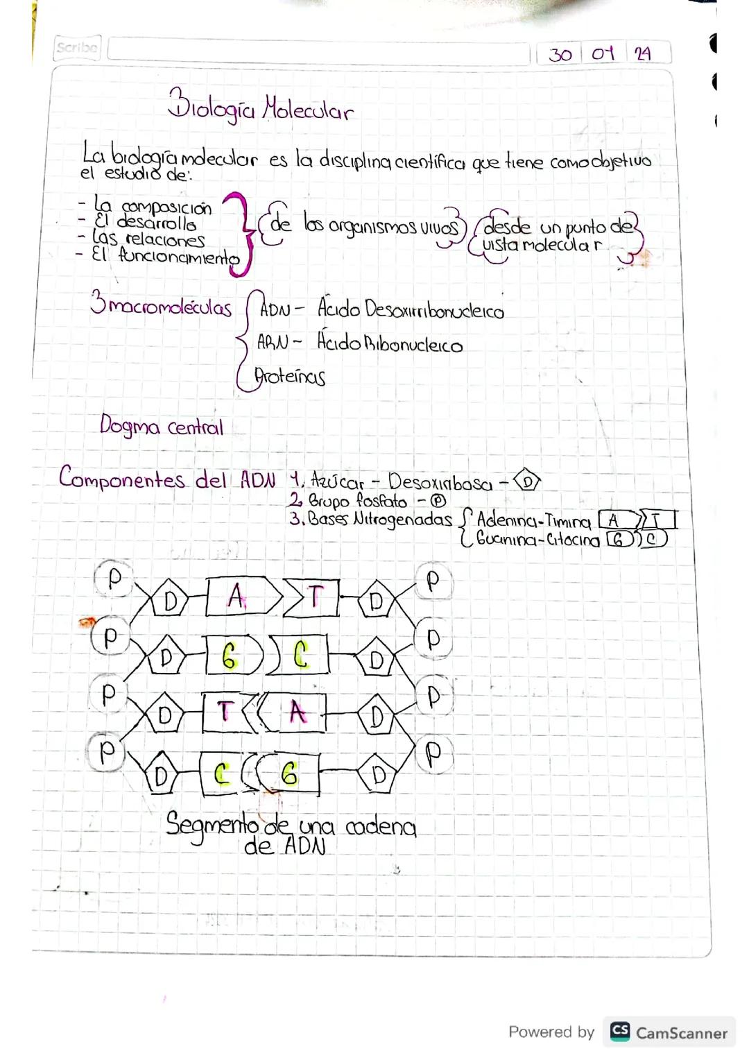Biología molecular 