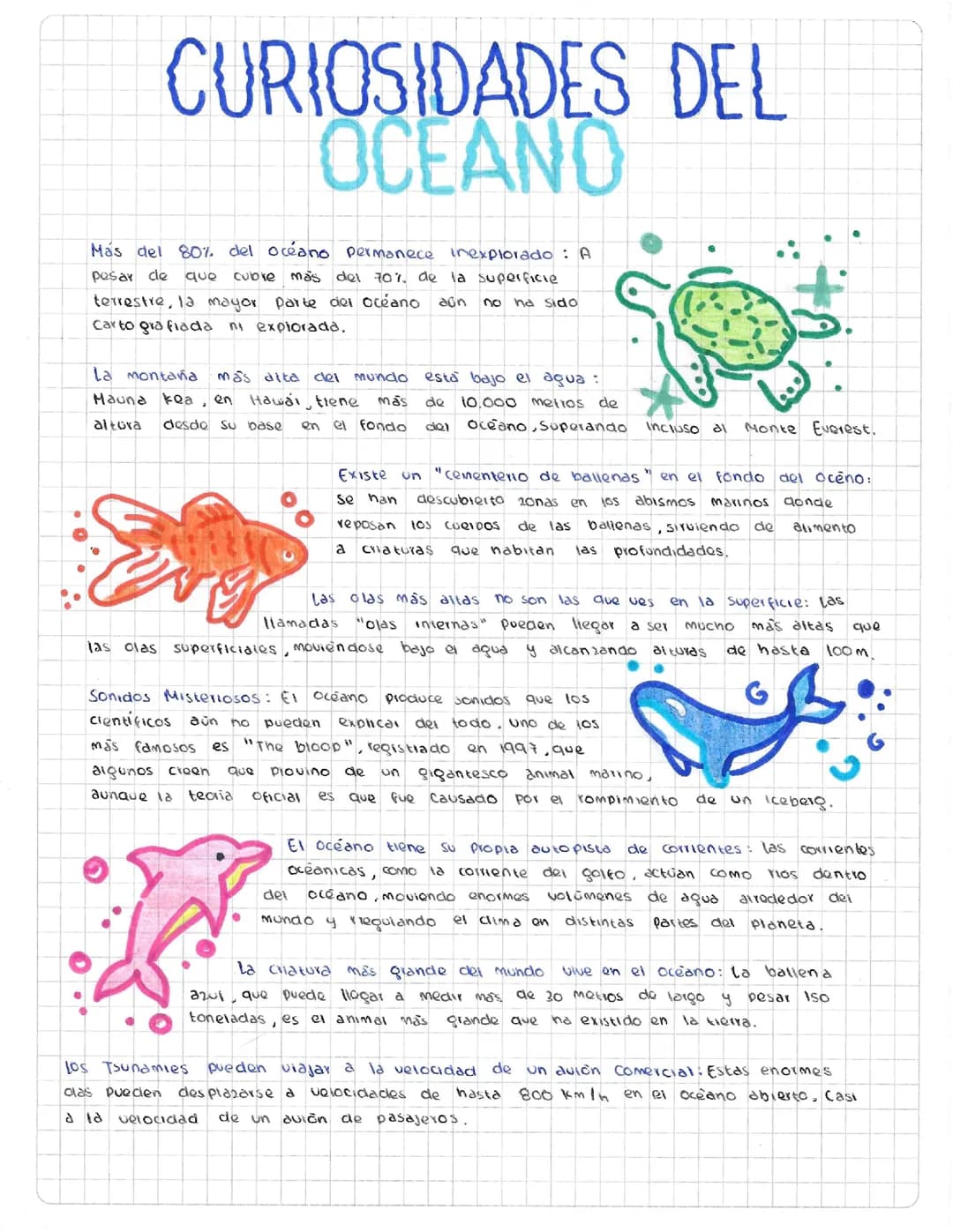 Curiosidades del Océano