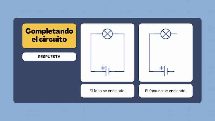 LILLO
Circuitos
Exploración de los componentes de un circuito
elle El enfoque de hoy
• El circuito eléctrico
Componentes del circuito eléctr