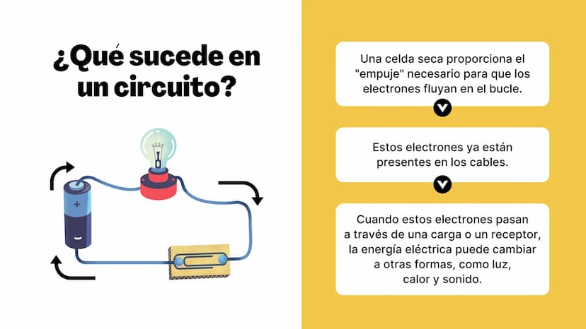 LILLO
Circuitos
Exploración de los componentes de un circuito
elle El enfoque de hoy
• El circuito eléctrico
Componentes del circuito eléctr