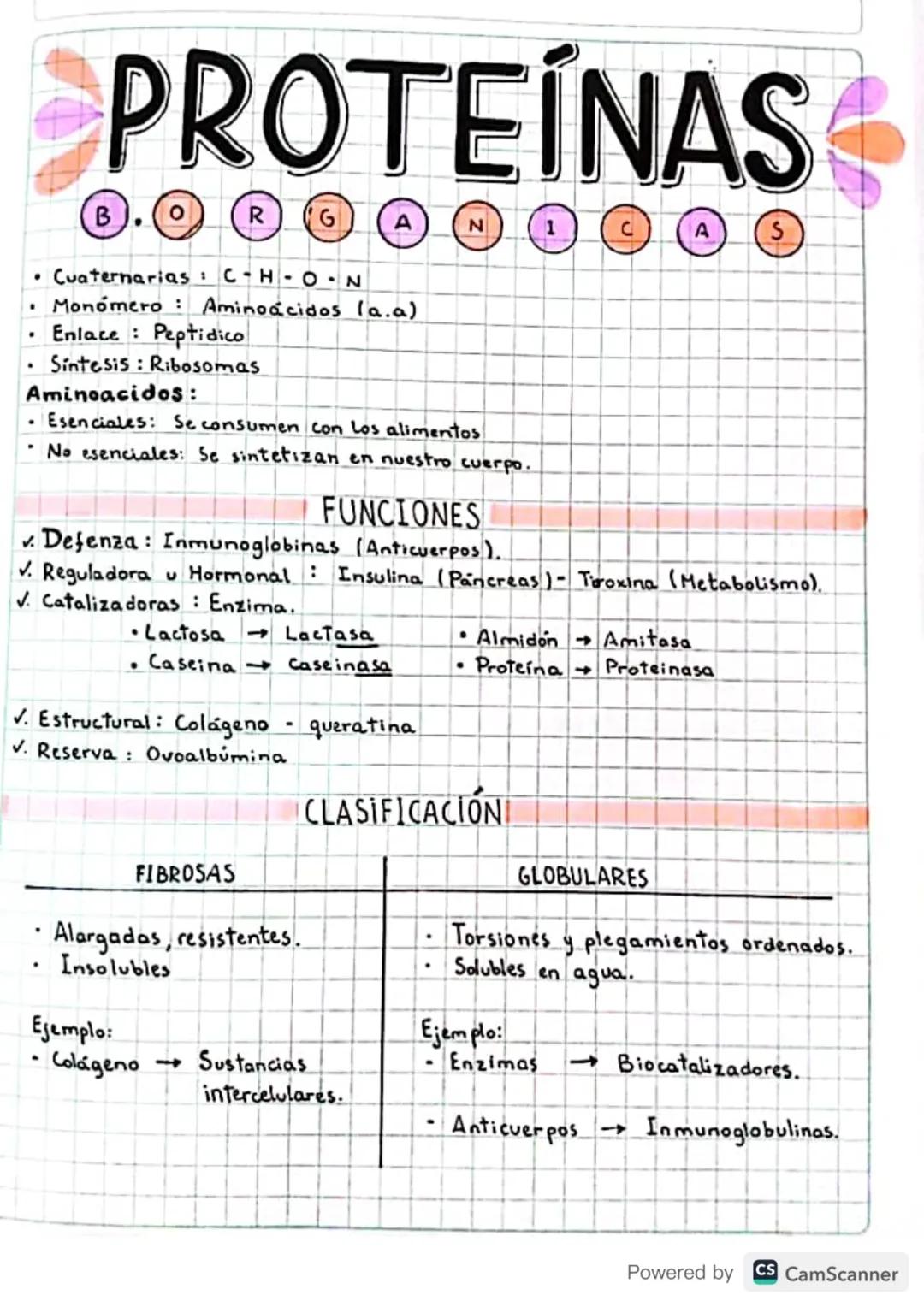 Proteínas Borganicas