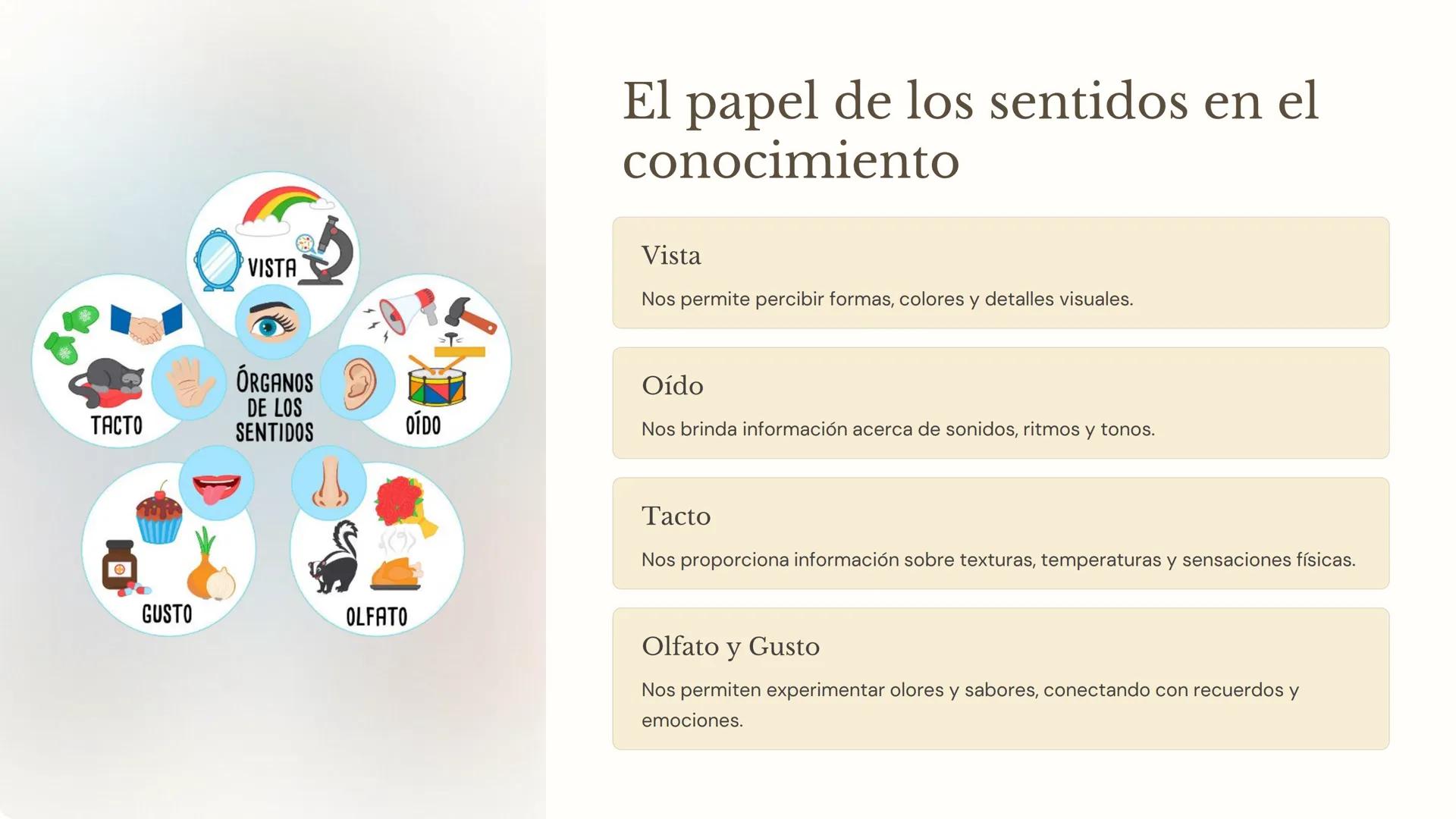 Conocimiento Filosófico
Teoría del
conocimiento:
Elementos para la
relación con la realidad y
su aprehensión
La teoría del conocimiento exam