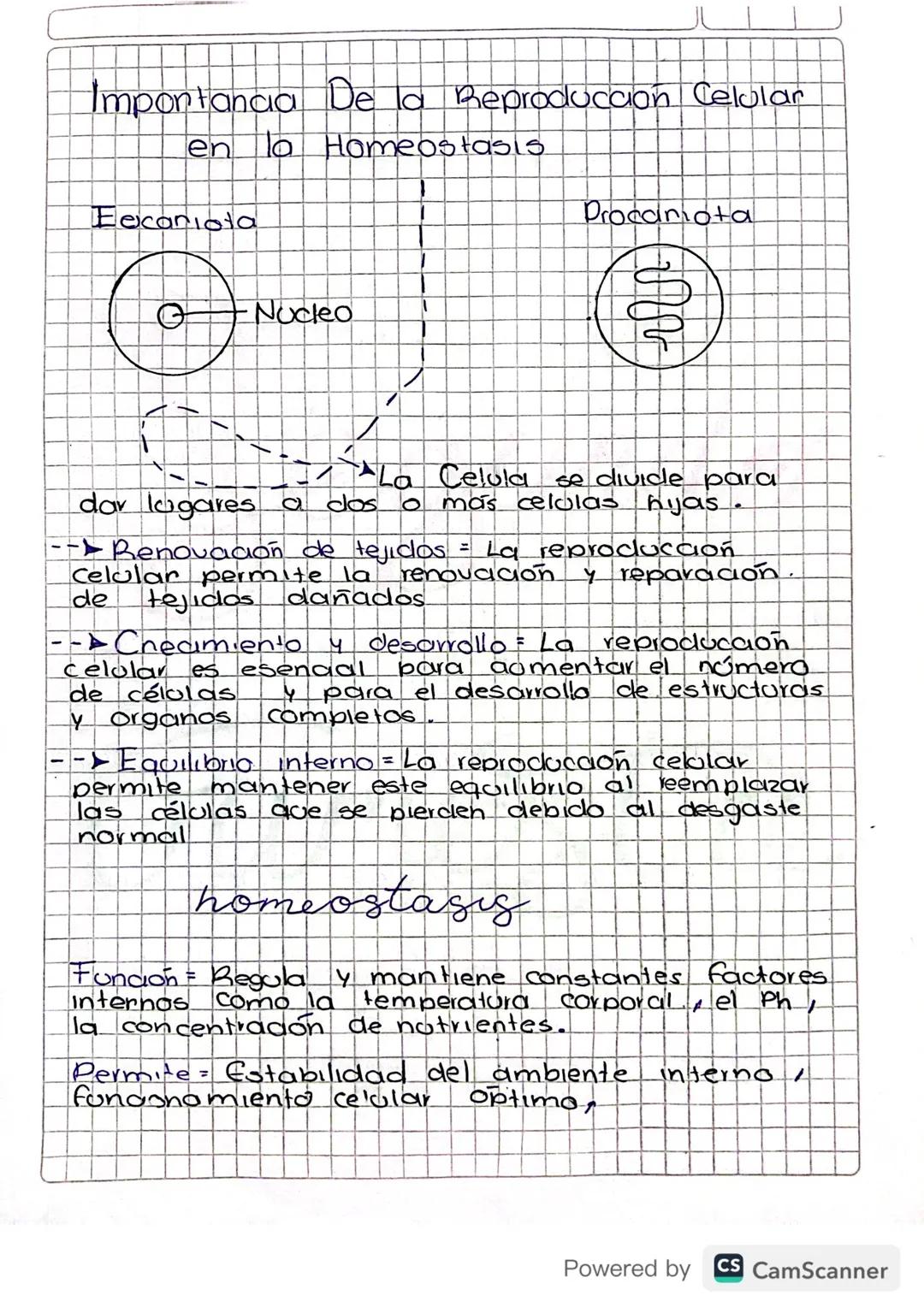 La Importancia de la Reproducción Celular para Mantener el Equilibrio Corporal