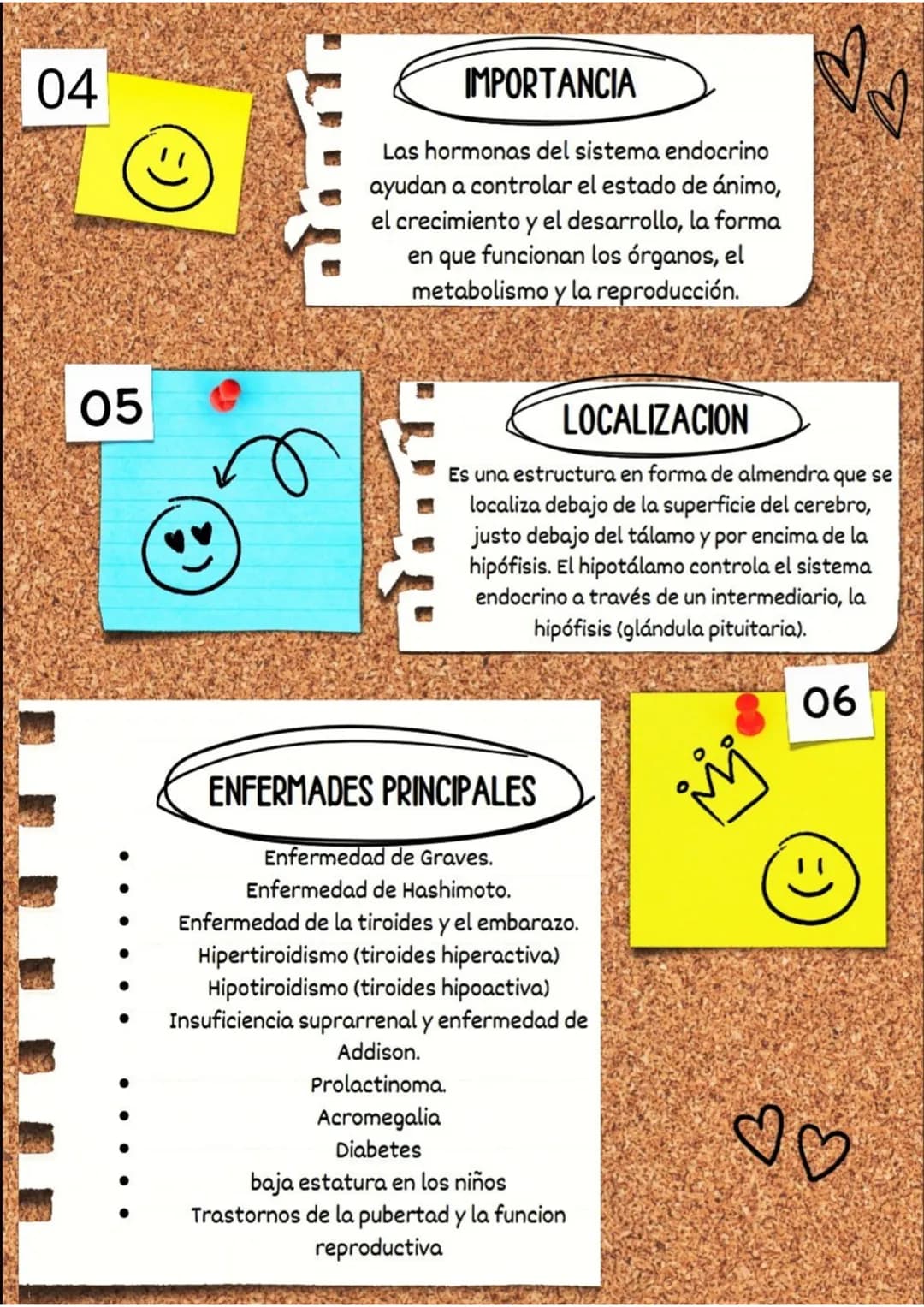01
PREGUNTAS
♡
SISTEMA ENDOCRINO
(
QUE ES :
El sistema endocrino, también
llamado sistema de glándulas de
secreción interna, es el conjunto 