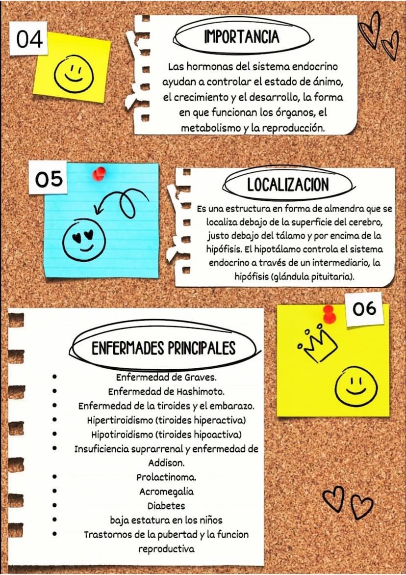01
PREGUNTAS
♡
SISTEMA ENDOCRINO
(
QUE ES :
El sistema endocrino, también
llamado sistema de glándulas de
secreción interna, es el conjunto 