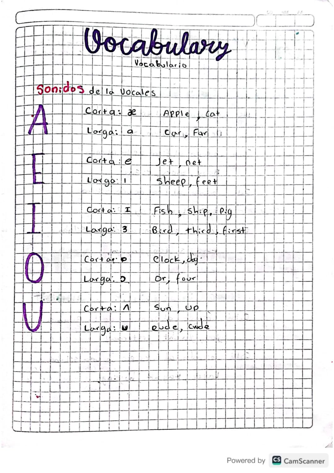 Vocabulary
Vocabulario
Sonidos de la vocales
A
Corta de
Apple
Cat
Larga: a
Car, Far
Corta e
Jet
Det
Larga:
Sheep feet
Corta: I
Fish, ship, P