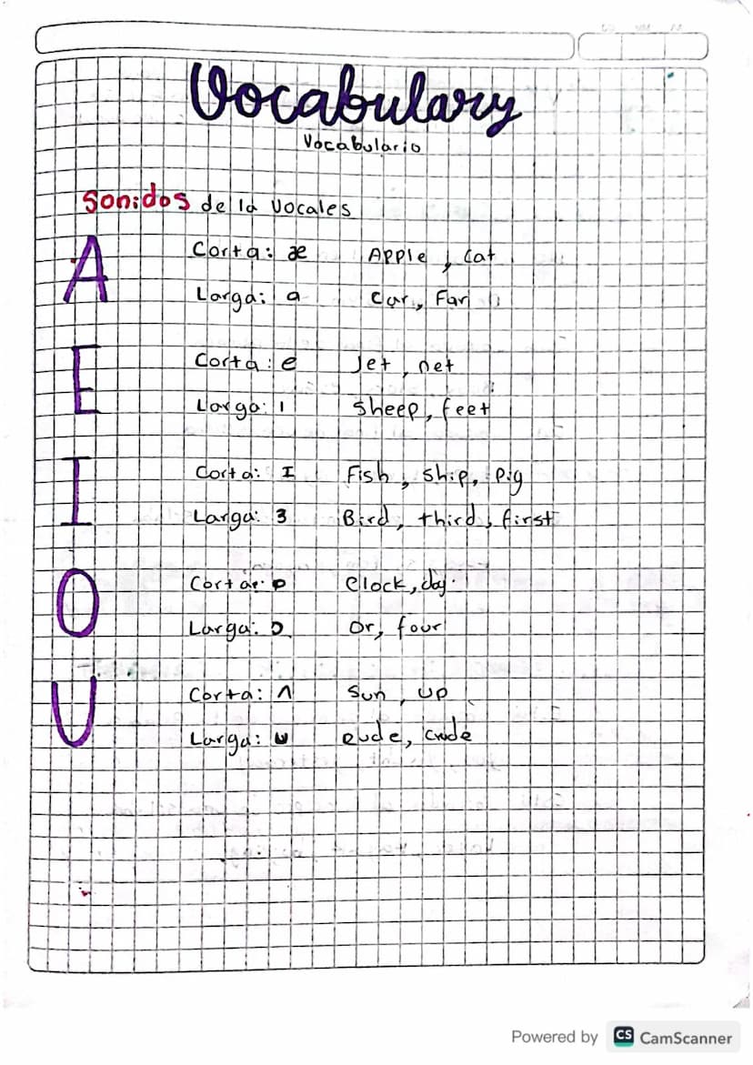 Vocabulary
Vocabulario
Sonidos de la vocales
A
Corta de
Apple
Cat
Larga: a
Car, Far
Corta e
Jet
Det
Larga:
Sheep feet
Corta: I
Fish, ship, P