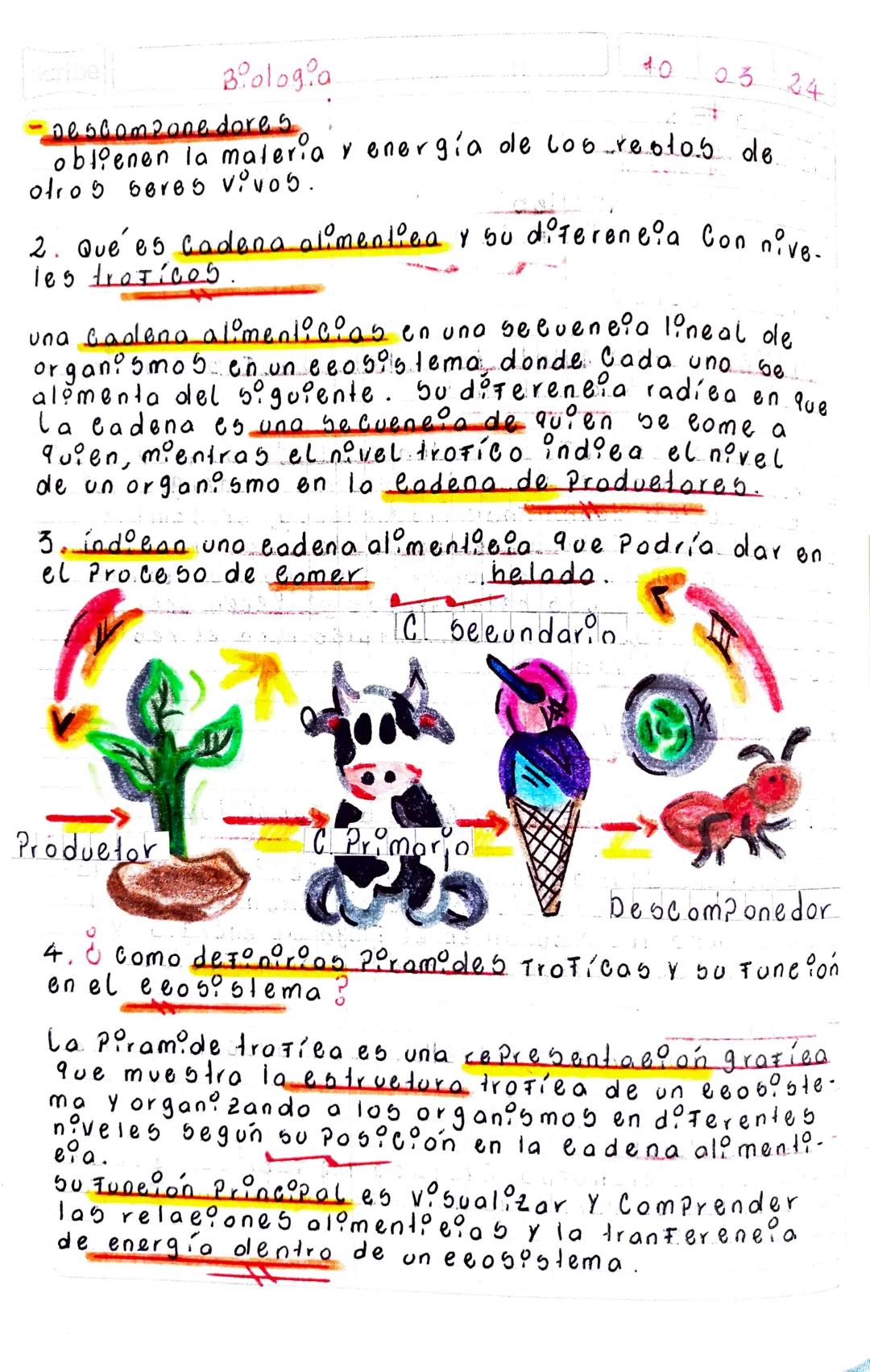 10 03 2.4

yemona #8
Primer Periodo

Biologoa
Scribe

Noveles
Trotico5

Pre babereb

- Exploco bere 5 Autotrofos yheterotrofos y su imzor-
t