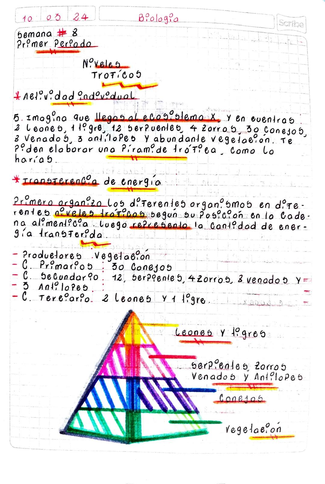 10 03 2.4

yemona #8
Primer Periodo

Biologoa
Scribe

Noveles
Trotico5

Pre babereb

- Exploco bere 5 Autotrofos yheterotrofos y su imzor-
t