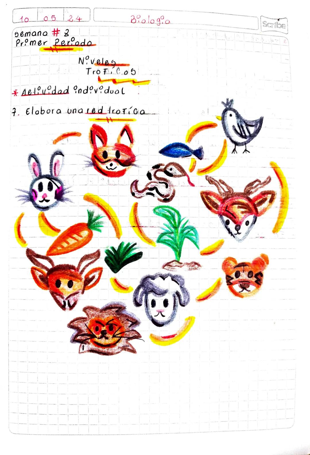 10 03 2.4

yemona #8
Primer Periodo

Biologoa
Scribe

Noveles
Trotico5

Pre babereb

- Exploco bere 5 Autotrofos yheterotrofos y su imzor-
t