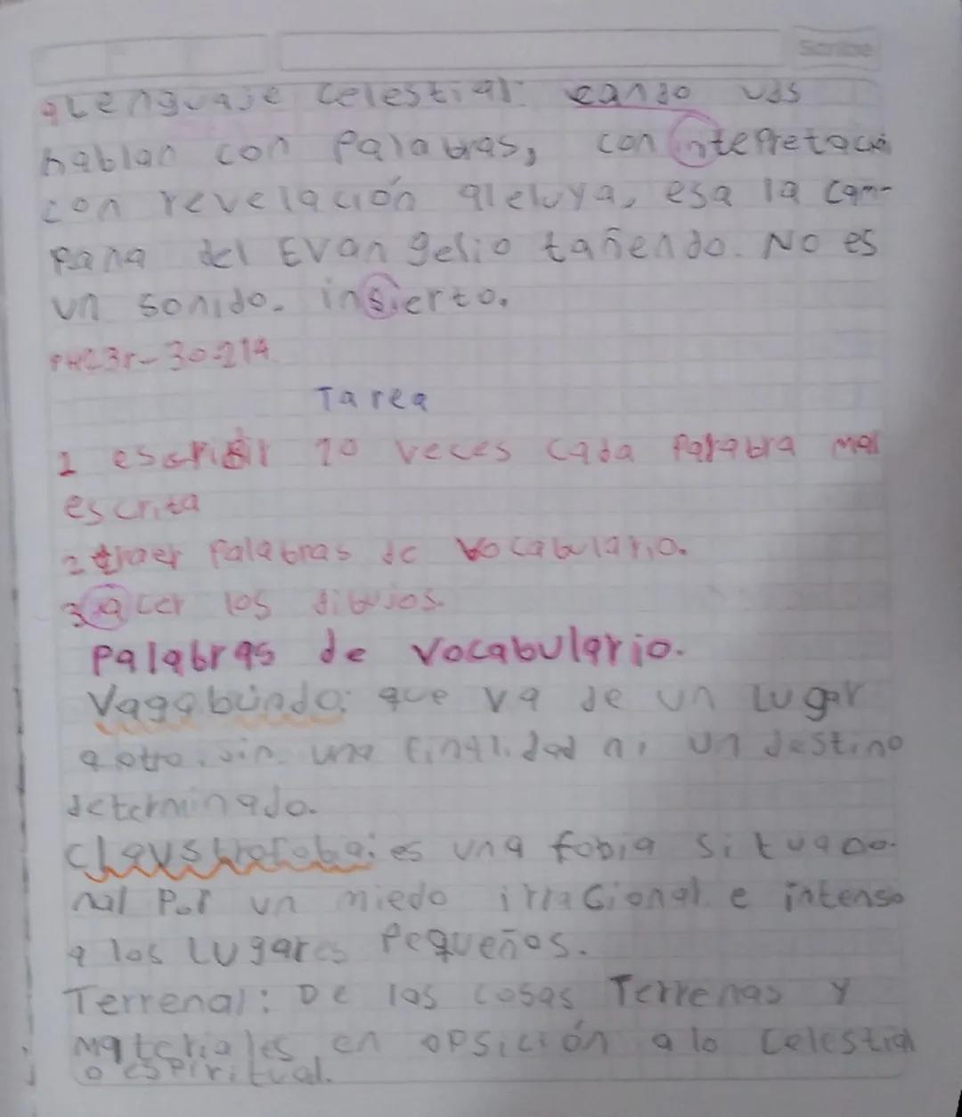 - Español Scribe

LEGUAJE

es el sistema através del cual el
hombre o los Animales comunican sus
ideas y sent, miedogtos.
C
Erigir
fundar in