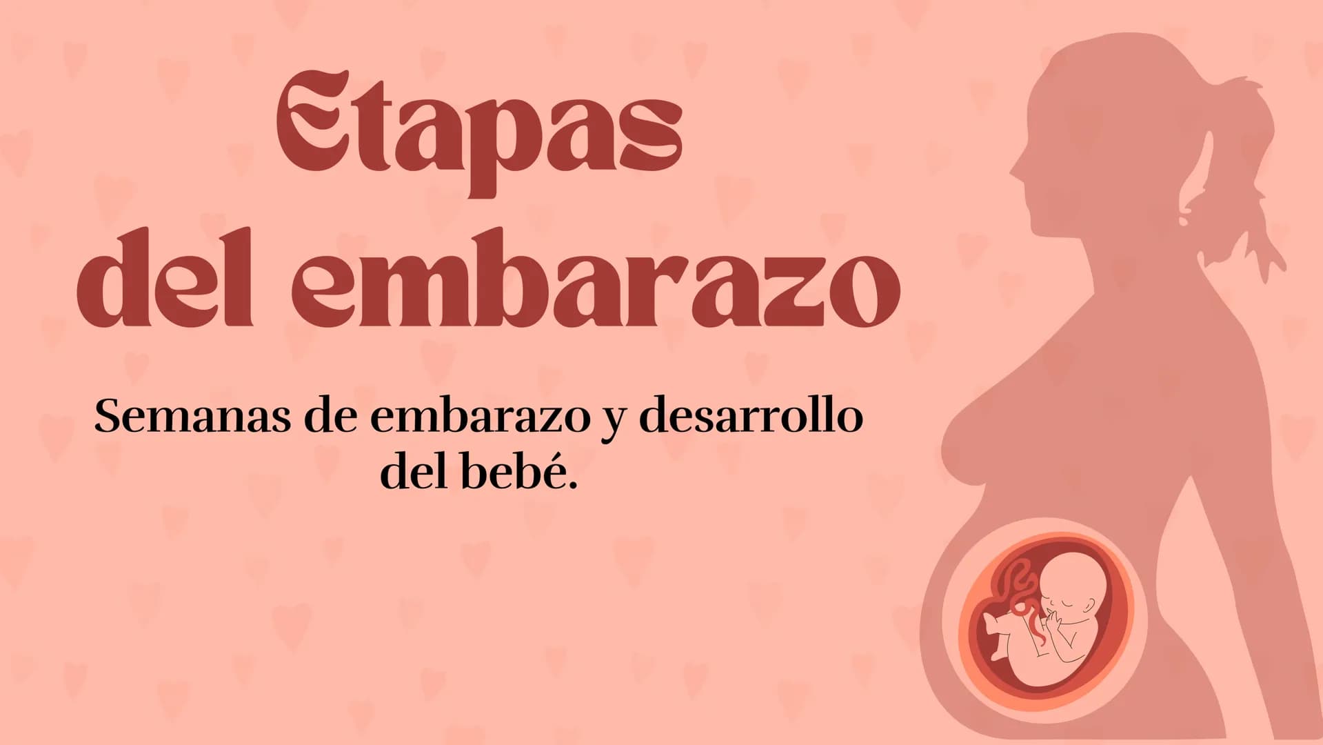 Etapas
del embarazo
Semanas de embarazo y desarrollo
del bebé. Etapas del embarazo
AUNQUE EL EMBARAZO ES UN PROCESO CONTINUO, SE DIVIDE EN T
