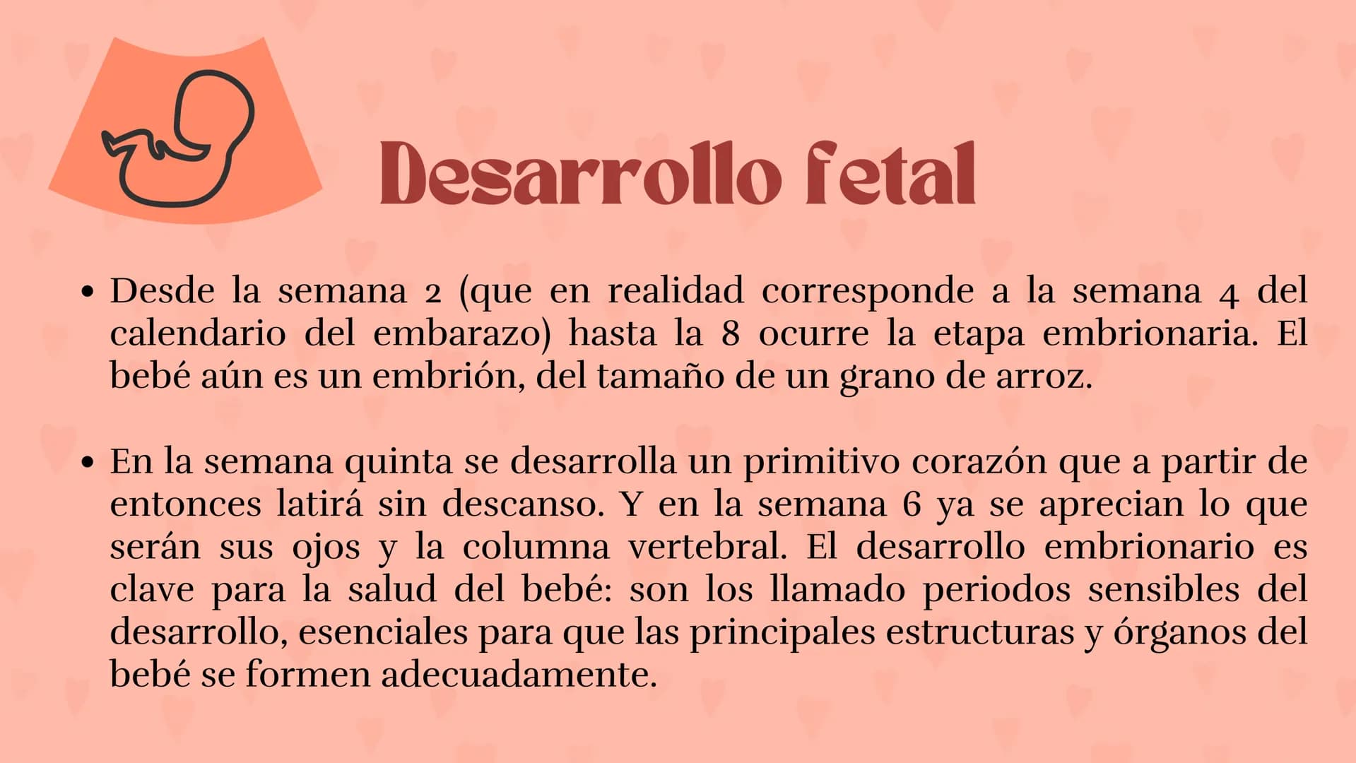Etapas
del embarazo
Semanas de embarazo y desarrollo
del bebé. Etapas del embarazo
AUNQUE EL EMBARAZO ES UN PROCESO CONTINUO, SE DIVIDE EN T