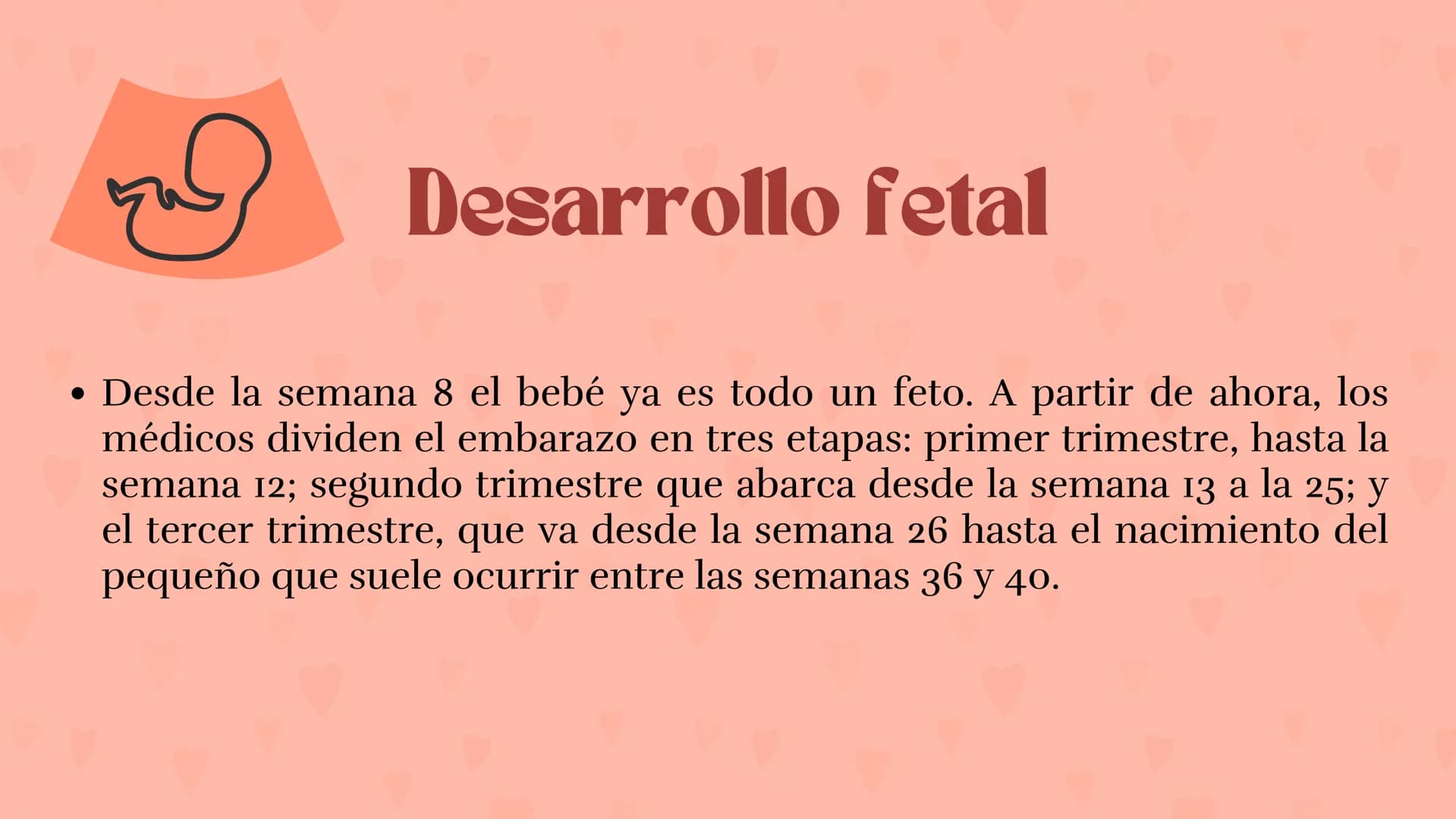 Etapas
del embarazo
Semanas de embarazo y desarrollo
del bebé. Etapas del embarazo
AUNQUE EL EMBARAZO ES UN PROCESO CONTINUO, SE DIVIDE EN T