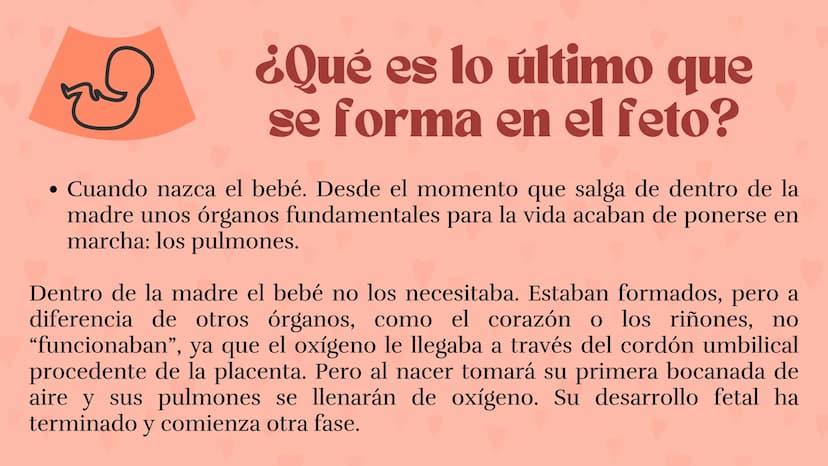 Etapas
del embarazo
Semanas de embarazo y desarrollo
del bebé. Etapas del embarazo
AUNQUE EL EMBARAZO ES UN PROCESO CONTINUO, SE DIVIDE EN T