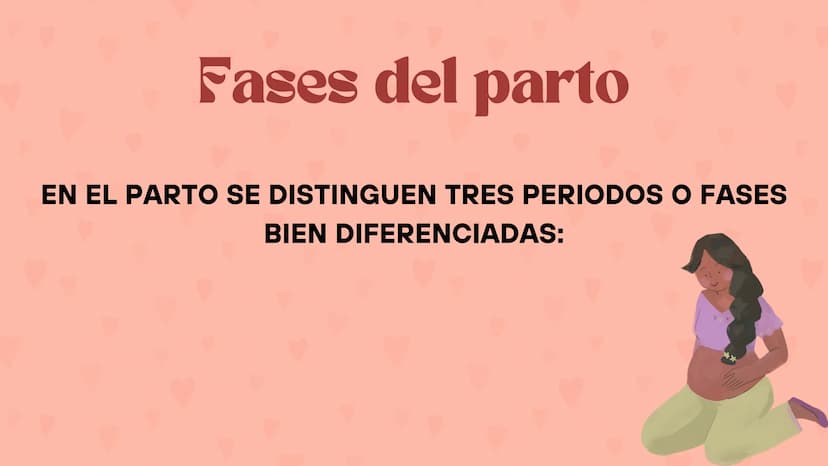 Etapas
del embarazo
Semanas de embarazo y desarrollo
del bebé. Etapas del embarazo
AUNQUE EL EMBARAZO ES UN PROCESO CONTINUO, SE DIVIDE EN T