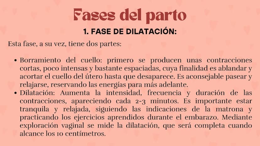 Etapas
del embarazo
Semanas de embarazo y desarrollo
del bebé. Etapas del embarazo
AUNQUE EL EMBARAZO ES UN PROCESO CONTINUO, SE DIVIDE EN T