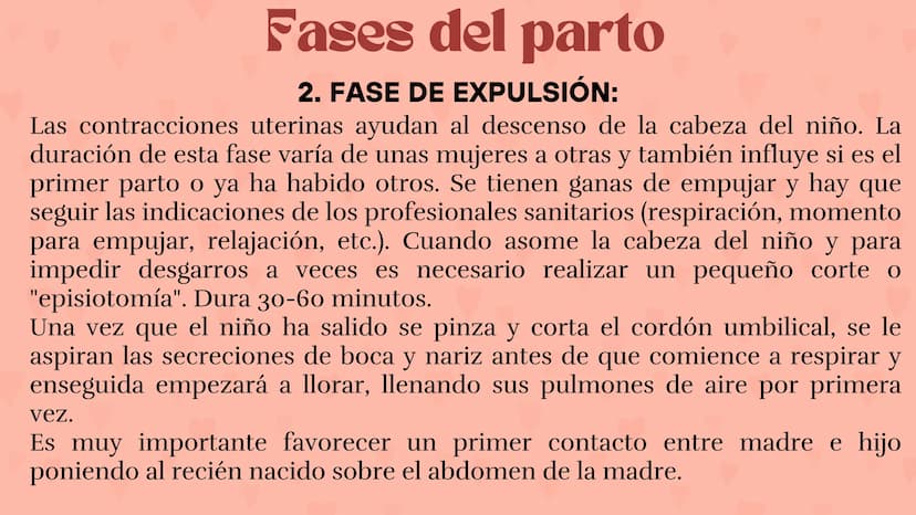 Etapas
del embarazo
Semanas de embarazo y desarrollo
del bebé. Etapas del embarazo
AUNQUE EL EMBARAZO ES UN PROCESO CONTINUO, SE DIVIDE EN T
