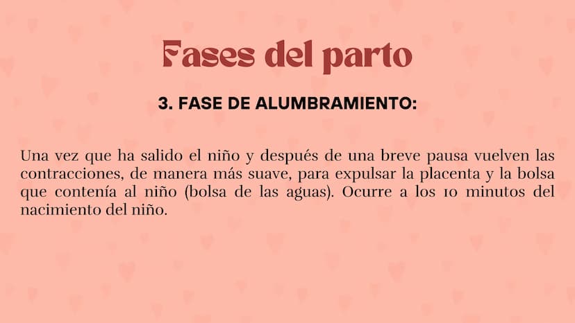 Etapas
del embarazo
Semanas de embarazo y desarrollo
del bebé. Etapas del embarazo
AUNQUE EL EMBARAZO ES UN PROCESO CONTINUO, SE DIVIDE EN T