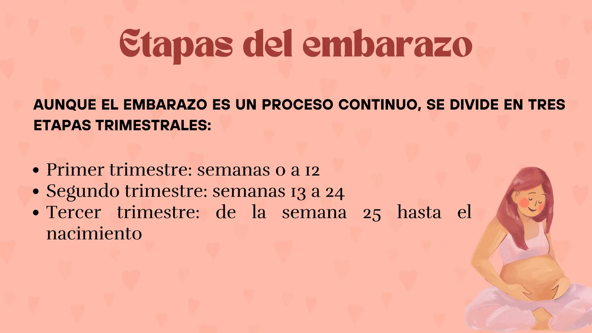 Etapas
del embarazo
Semanas de embarazo y desarrollo
del bebé. Etapas del embarazo
AUNQUE EL EMBARAZO ES UN PROCESO CONTINUO, SE DIVIDE EN T