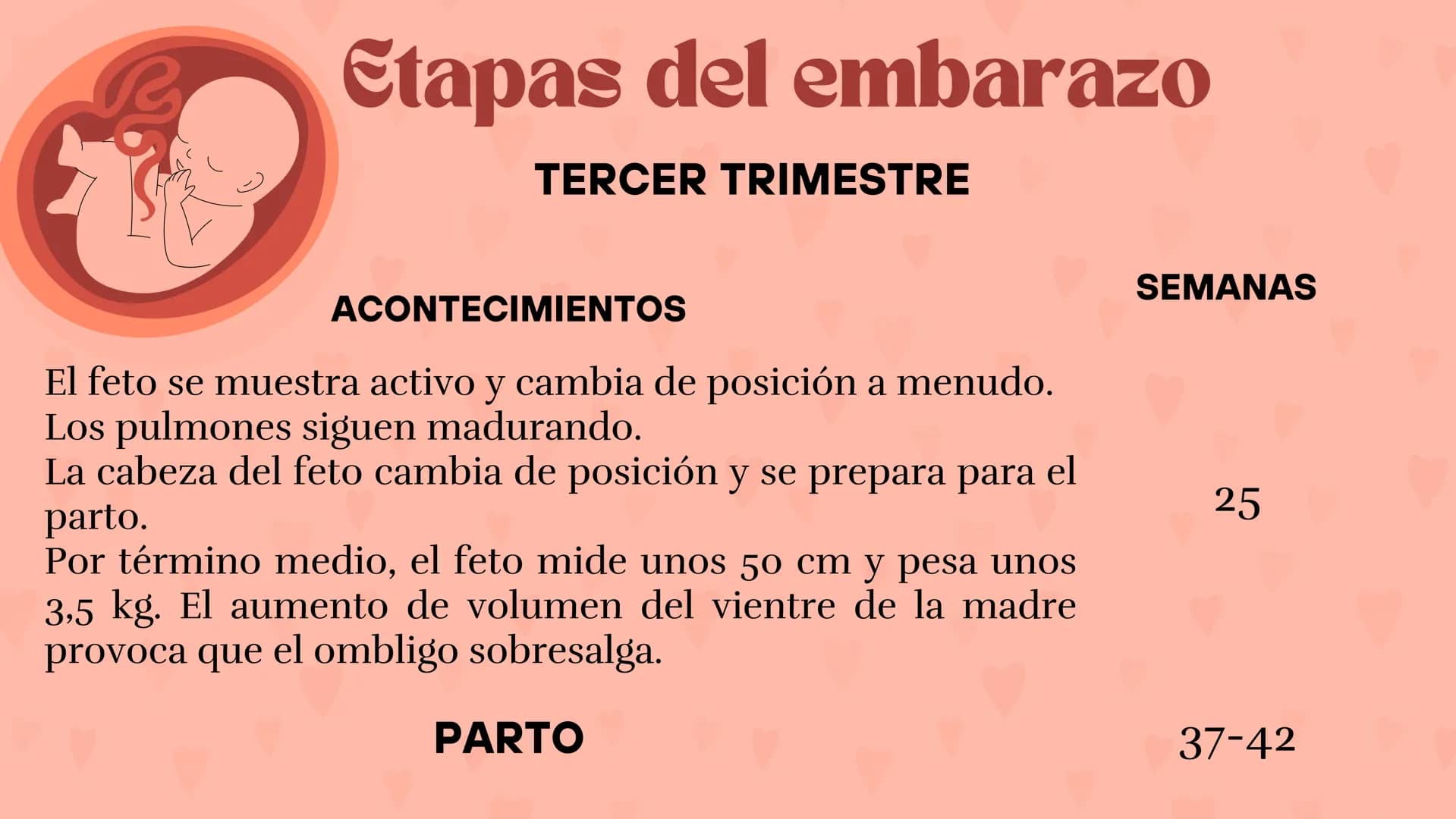Etapas
del embarazo
Semanas de embarazo y desarrollo
del bebé. Etapas del embarazo
AUNQUE EL EMBARAZO ES UN PROCESO CONTINUO, SE DIVIDE EN T