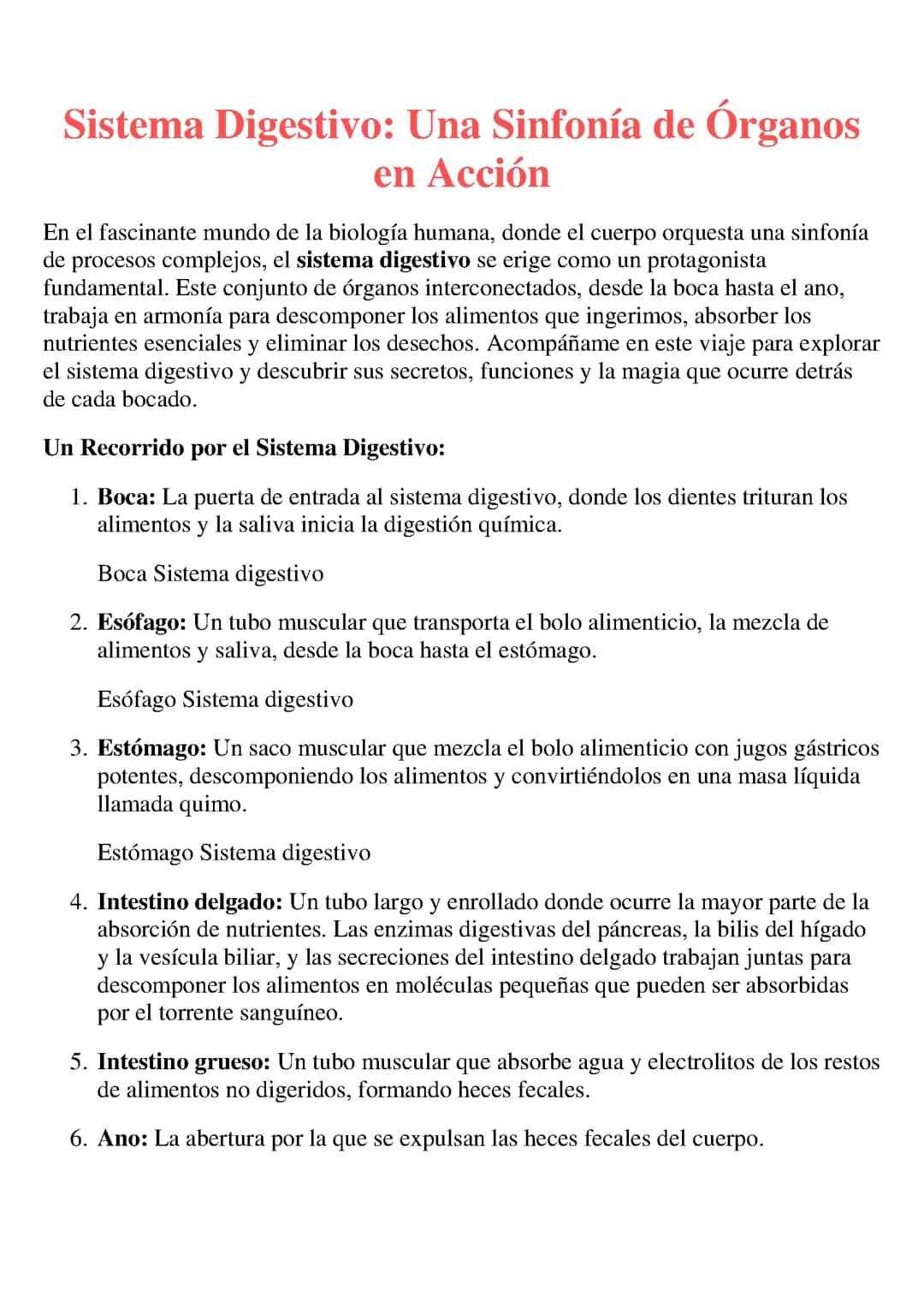 EL SISTEMA DIGESTIVO