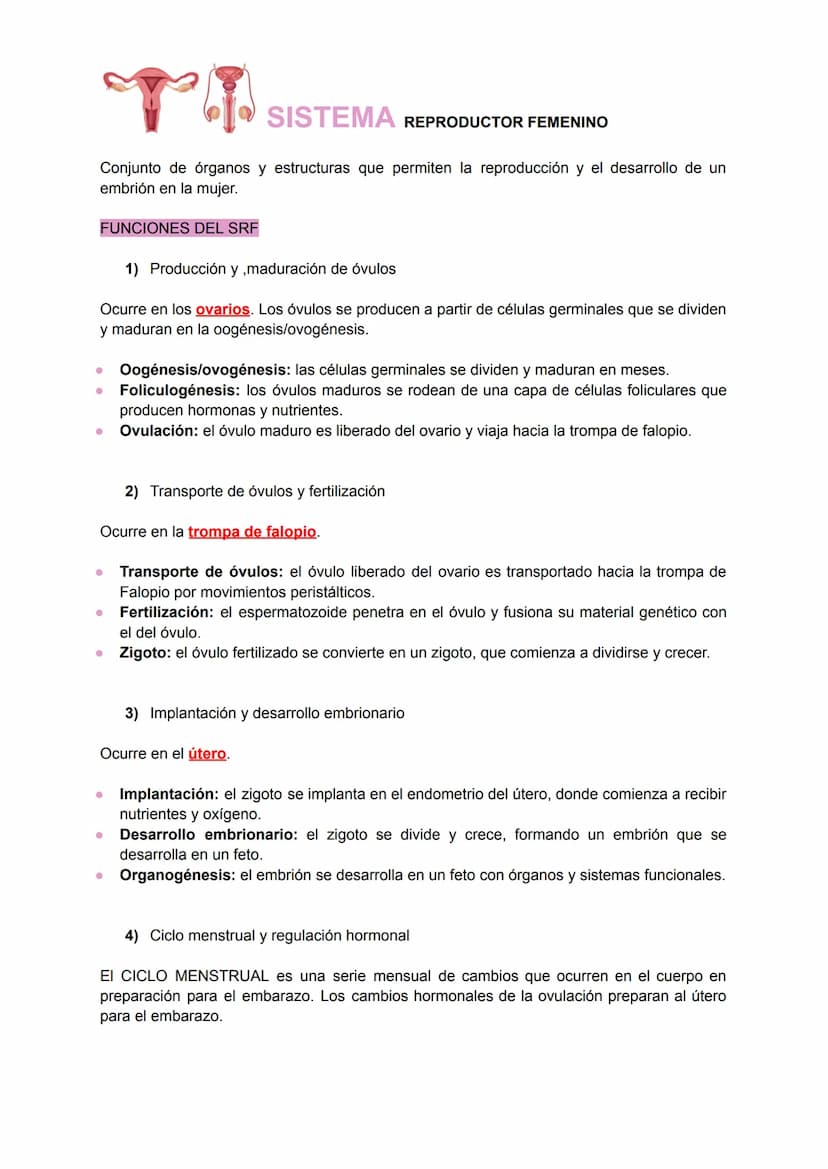 .
•
.
.
•
SISTEMA REPRODUCTOR FEMENINO
Conjunto de órganos y estructuras que permiten la reproducción y el desarrollo de un
embrión en la mu