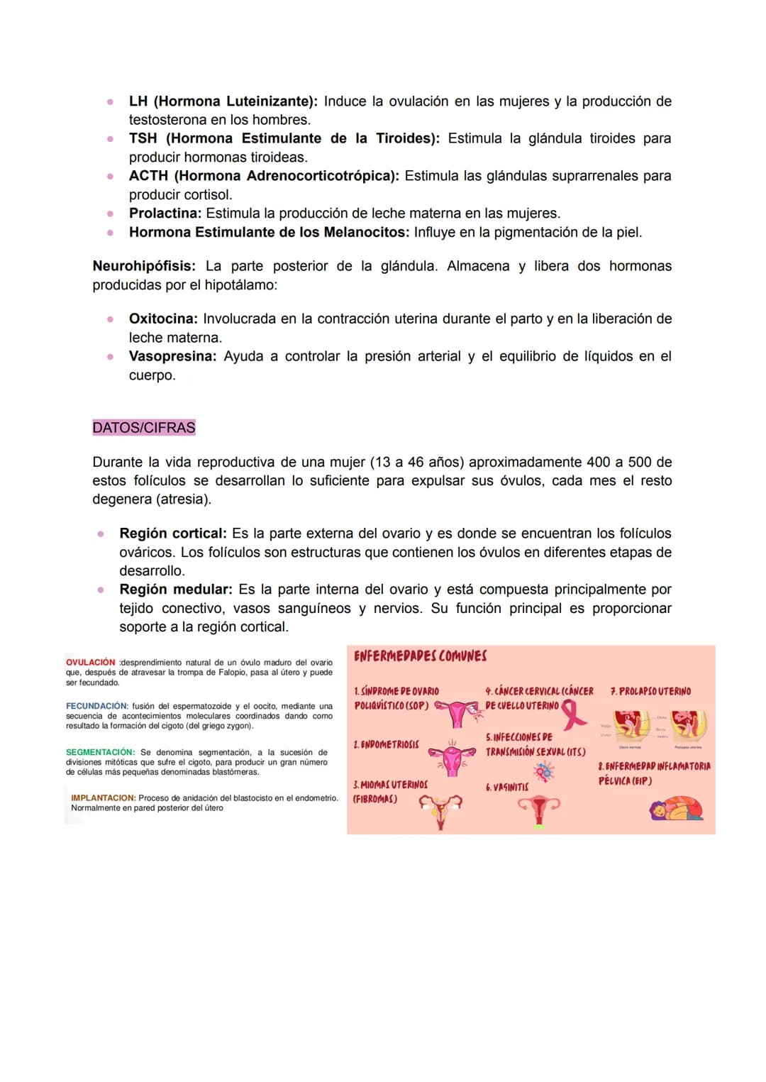 .
•
.
.
•
SISTEMA REPRODUCTOR FEMENINO
Conjunto de órganos y estructuras que permiten la reproducción y el desarrollo de un
embrión en la mu