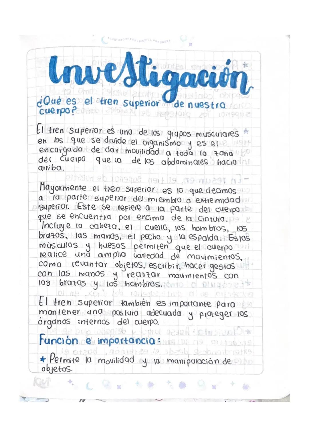 Tren superior del cuerpo humano.