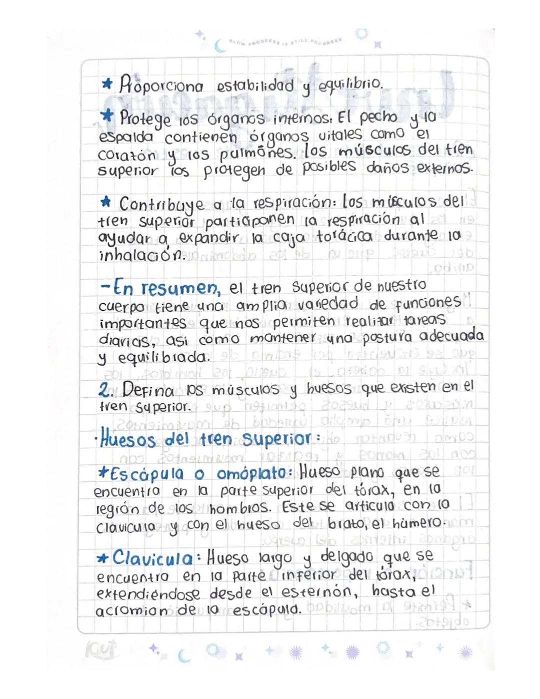 C
Investigación
¿Qué es el tren superior de nuestro
cuerpo?
201
2
1071992
El tren Superior es uno de los grupos musculares *
en los que se d