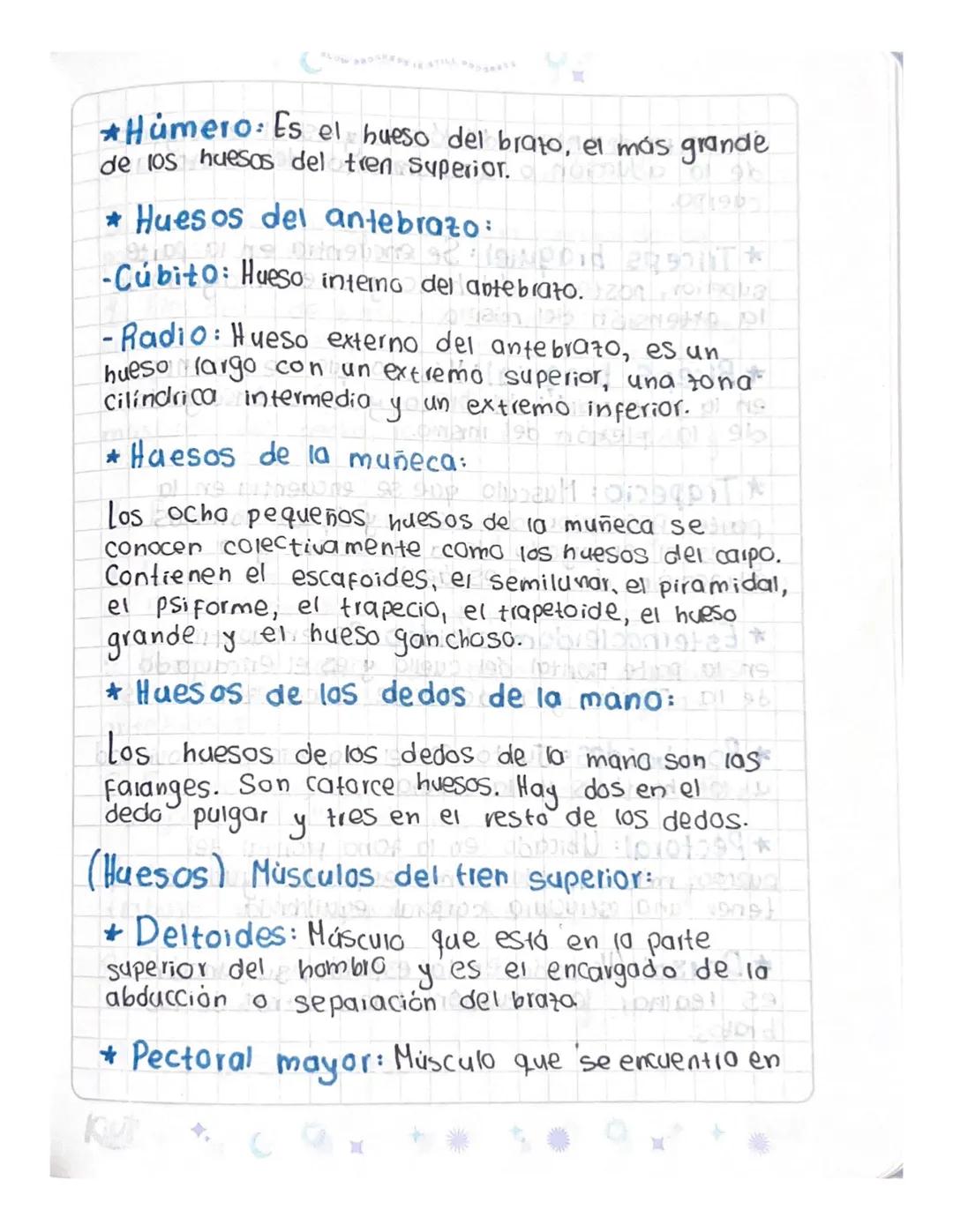 C
Investigación
¿Qué es el tren superior de nuestro
cuerpo?
201
2
1071992
El tren Superior es uno de los grupos musculares *
en los que se d