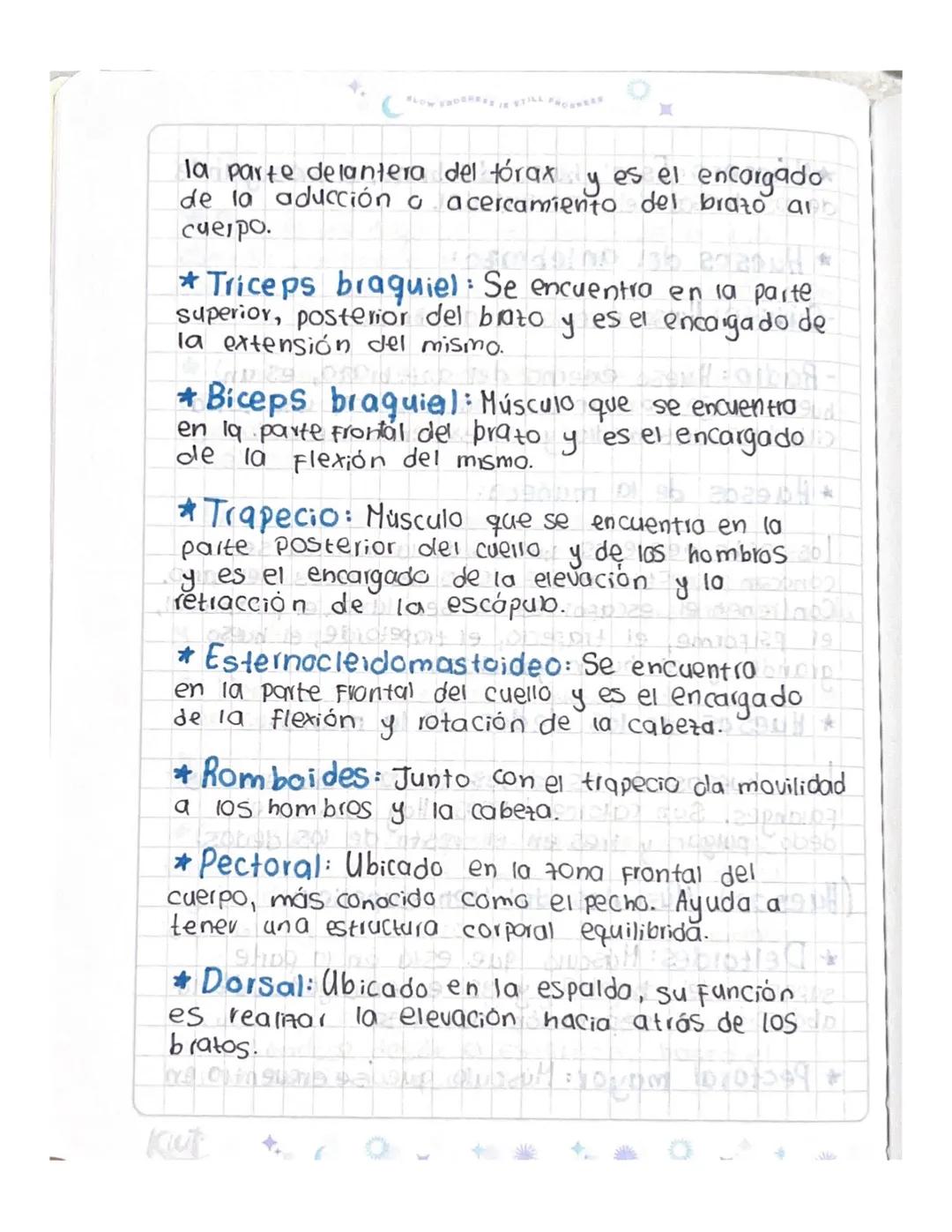 C
Investigación
¿Qué es el tren superior de nuestro
cuerpo?
201
2
1071992
El tren Superior es uno de los grupos musculares *
en los que se d