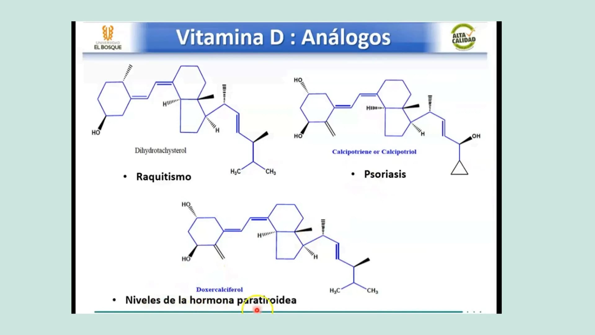 VITAMINAS
LIPOSOLUBLES ¿QUÉ SON?
Son aquellas que se pueden disolver en
las grasas. Dentro de este grupo
encontramos las vitaminas A, D, E y