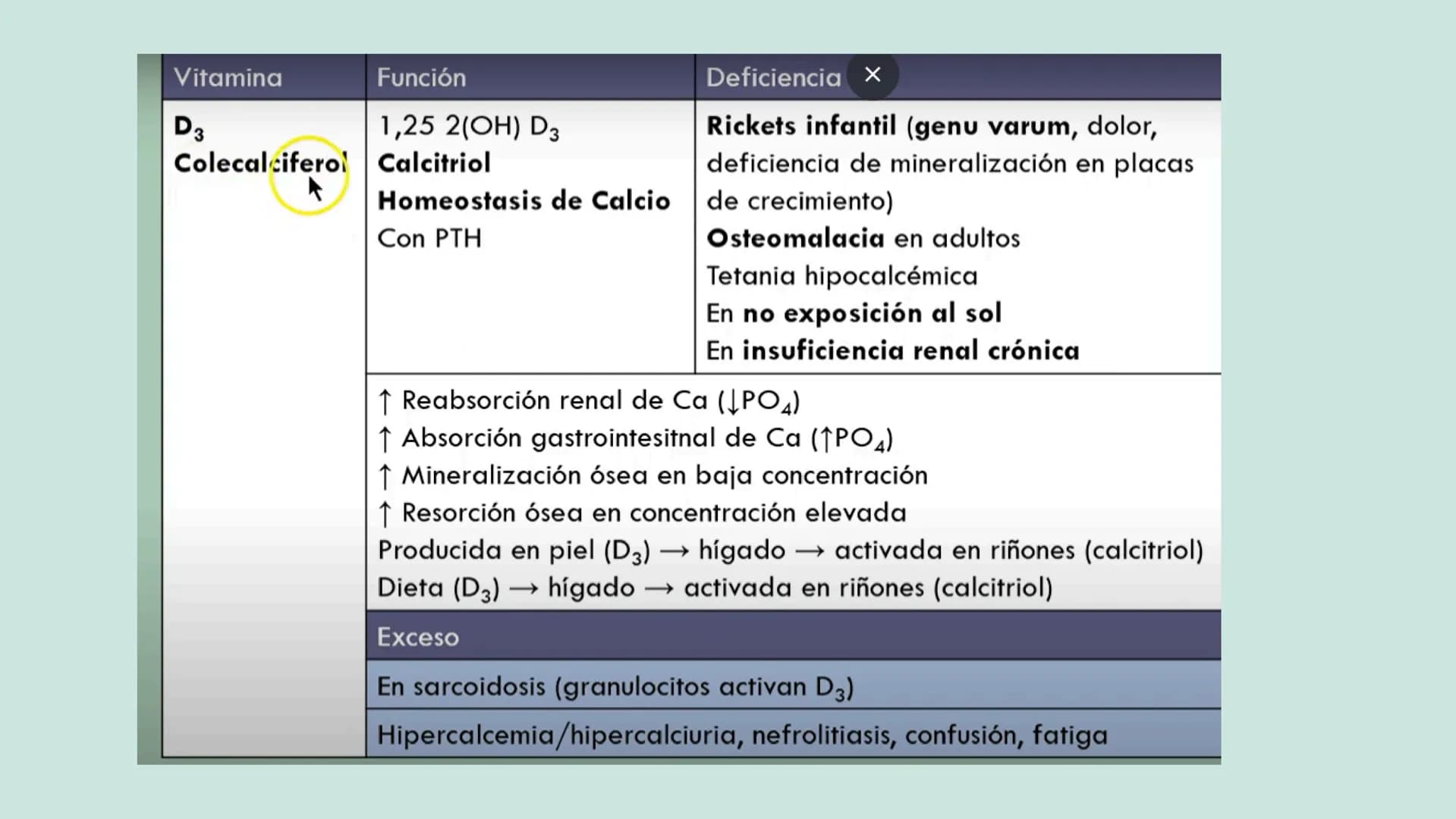 VITAMINAS
LIPOSOLUBLES ¿QUÉ SON?
Son aquellas que se pueden disolver en
las grasas. Dentro de este grupo
encontramos las vitaminas A, D, E y