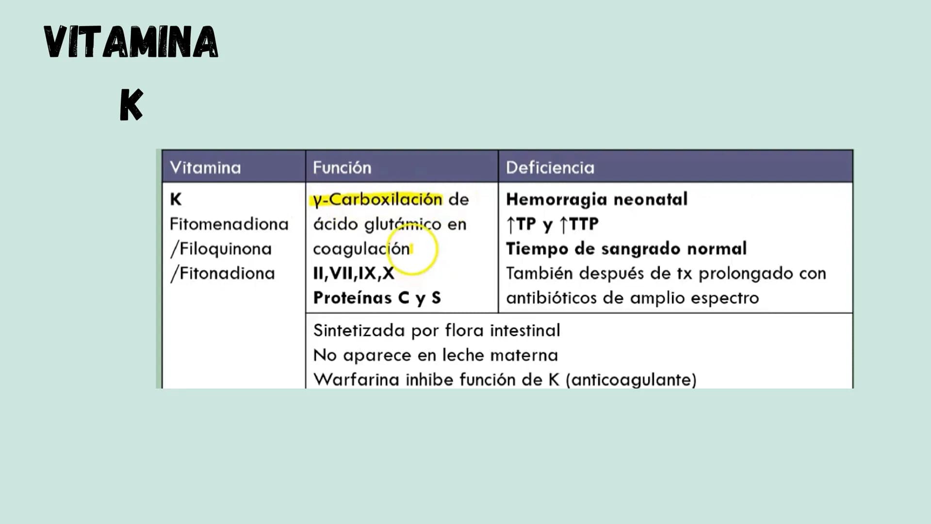 VITAMINAS
LIPOSOLUBLES ¿QUÉ SON?
Son aquellas que se pueden disolver en
las grasas. Dentro de este grupo
encontramos las vitaminas A, D, E y