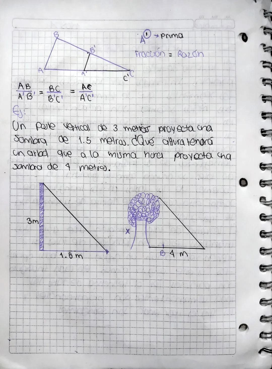 Geometna
100
Teorema de Tales
1005/24
El teorema de sales dice que dos lineas
paralelas son cortadas por dos redas secantes,
las segmentas q
