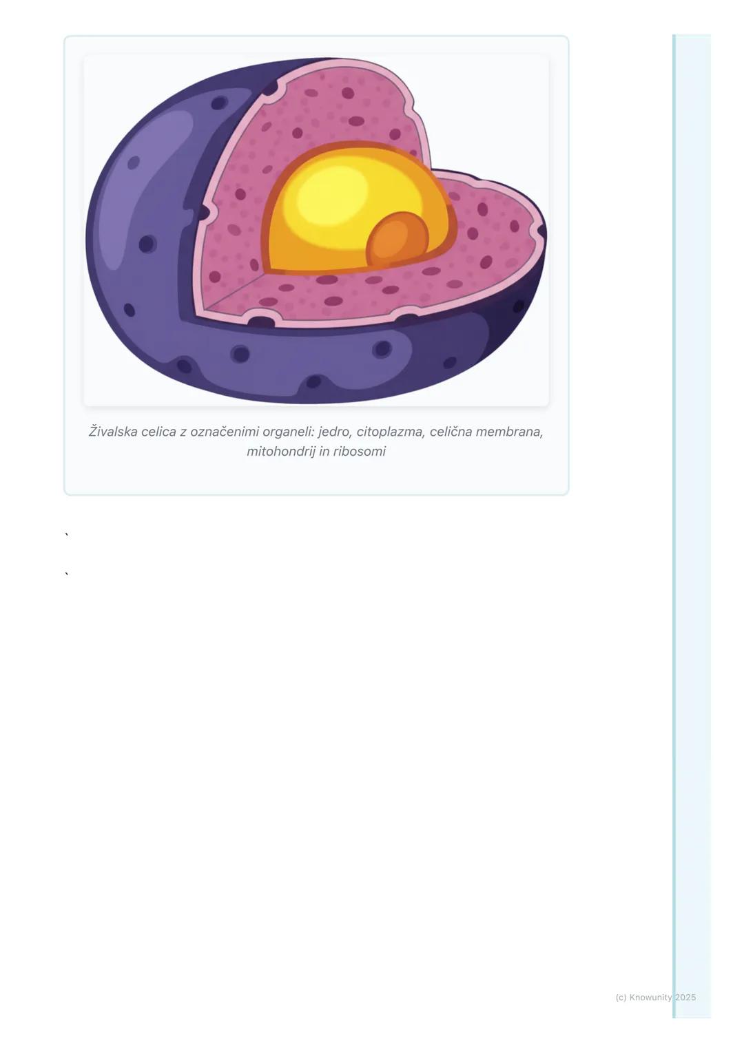 # Rastlinska in živalska celica

## Uvod v primerjavo celic

Vse živali in rastline so zgrajene iz celic. Celica je osnovna enota življenja.