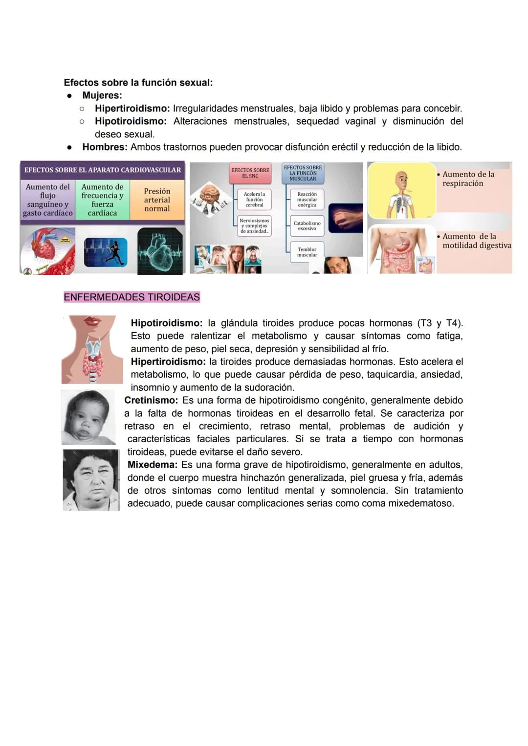 GLÁNDULA TIROIDES
La GLÁNDULA TIROIDES es una glándula endocrina que se encuentra en el cuello y es
responsable de producir y liberar hormon