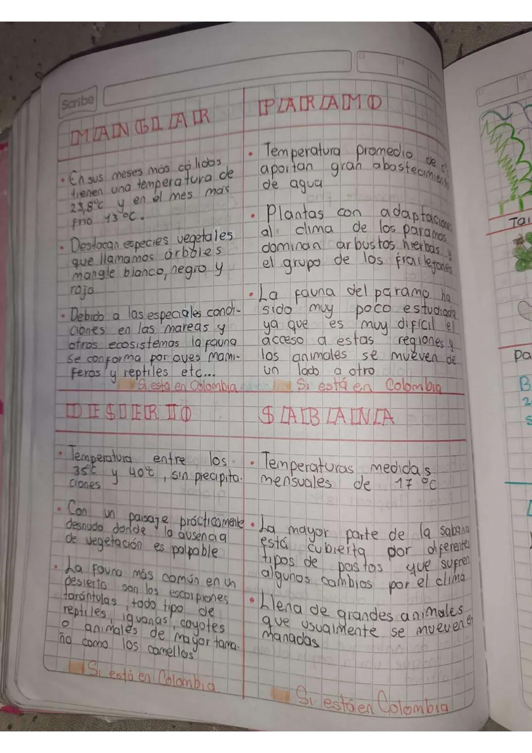 # Ecosistemas terrestres
Scribe

TUNDORIA

•Clima sumamente frio

Suelo bastante pobre en
nutrientes, baja diversidad
biológica

•Los animal