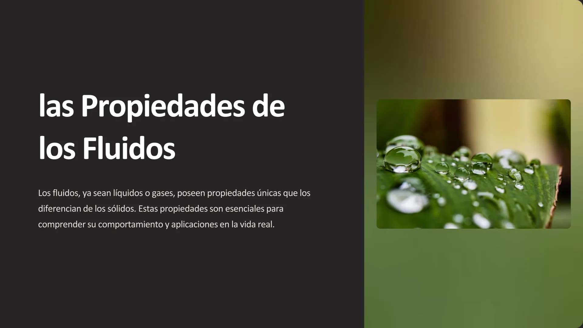 las Propiedades de
los Fluidos
Los fluidos, ya sean líquidos o gases, poseen propiedades únicas que los
diferencian de los sólidos. Estas pr