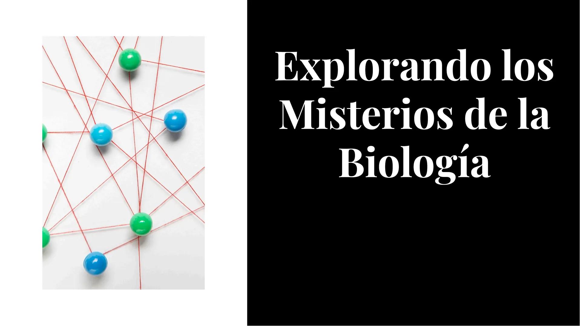 Explorando los
Misterios de la
Biología La Célula: Un Universo
Pequeño
La célula es la unidad básica de la vida.
Descubriremos sus organelos