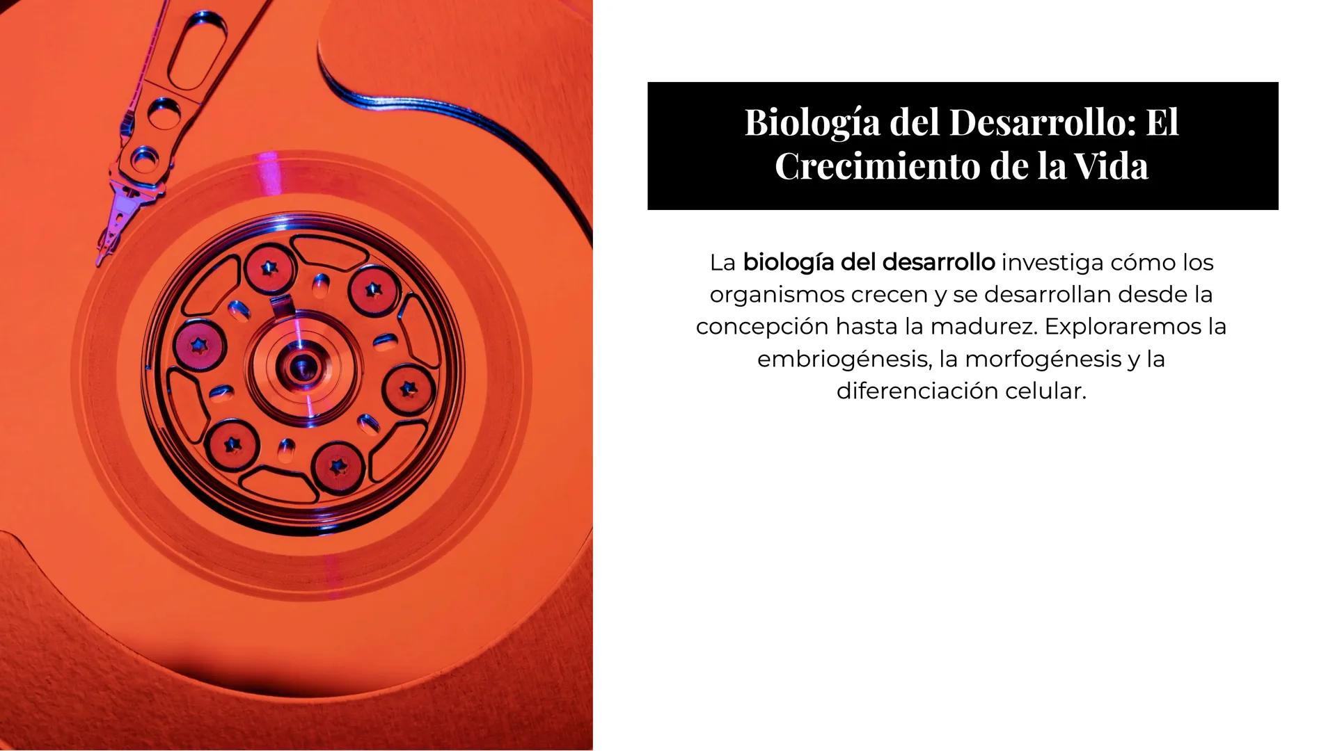 Explorando los
Misterios de la
Biología La Célula: Un Universo
Pequeño
La célula es la unidad básica de la vida.
Descubriremos sus organelos