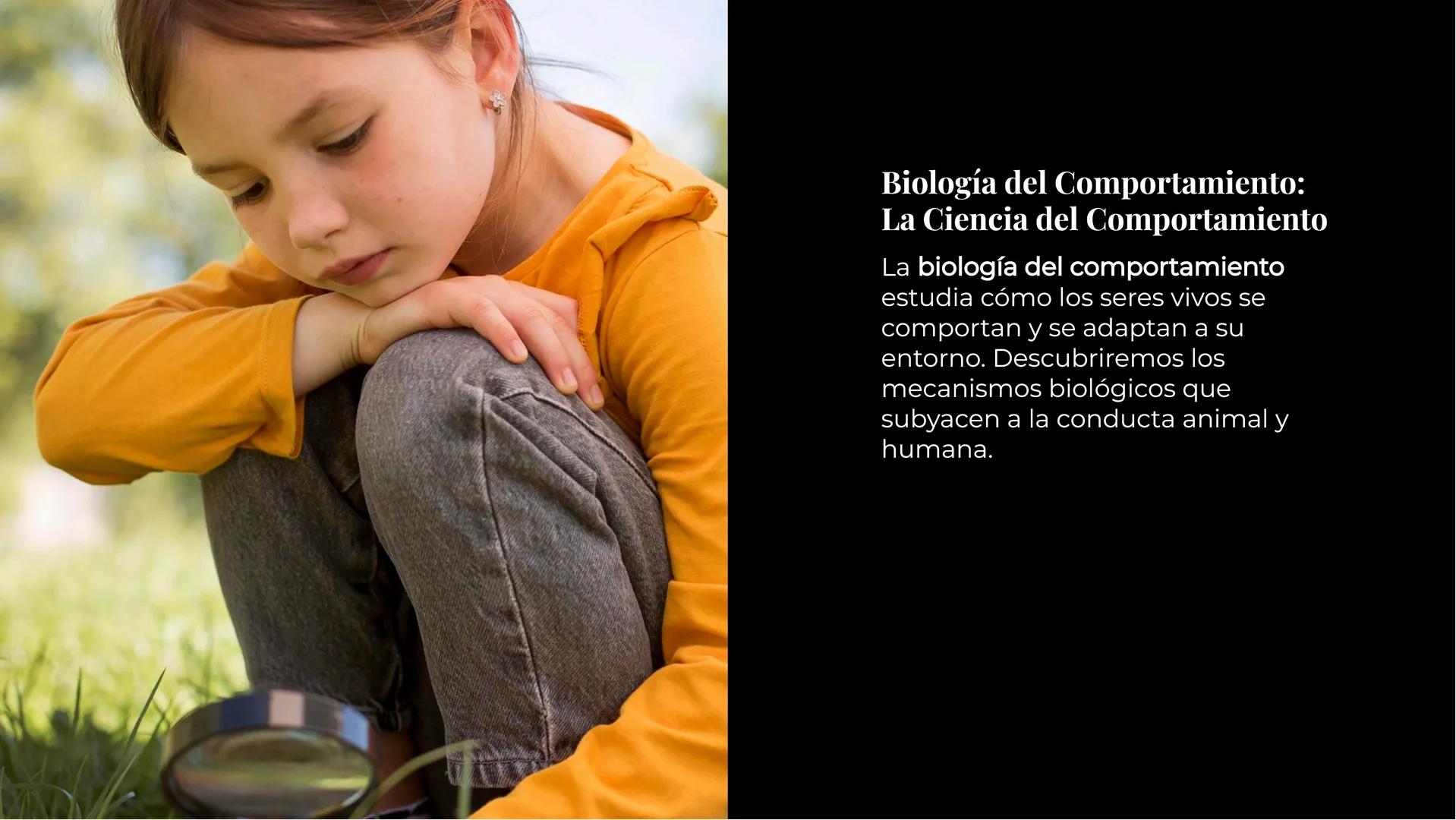 Explorando los
Misterios de la
Biología La Célula: Un Universo
Pequeño
La célula es la unidad básica de la vida.
Descubriremos sus organelos