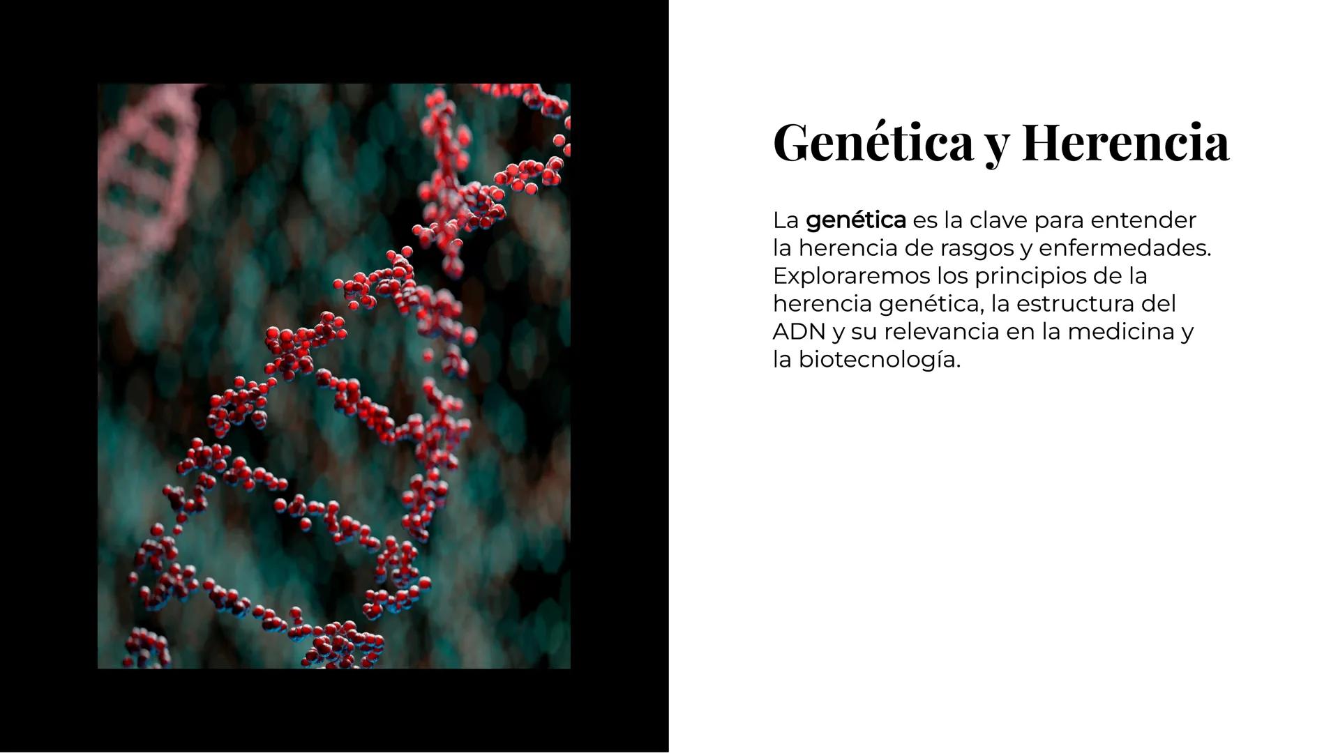 Explorando los
Misterios de la
Biología La Célula: Un Universo
Pequeño
La célula es la unidad básica de la vida.
Descubriremos sus organelos