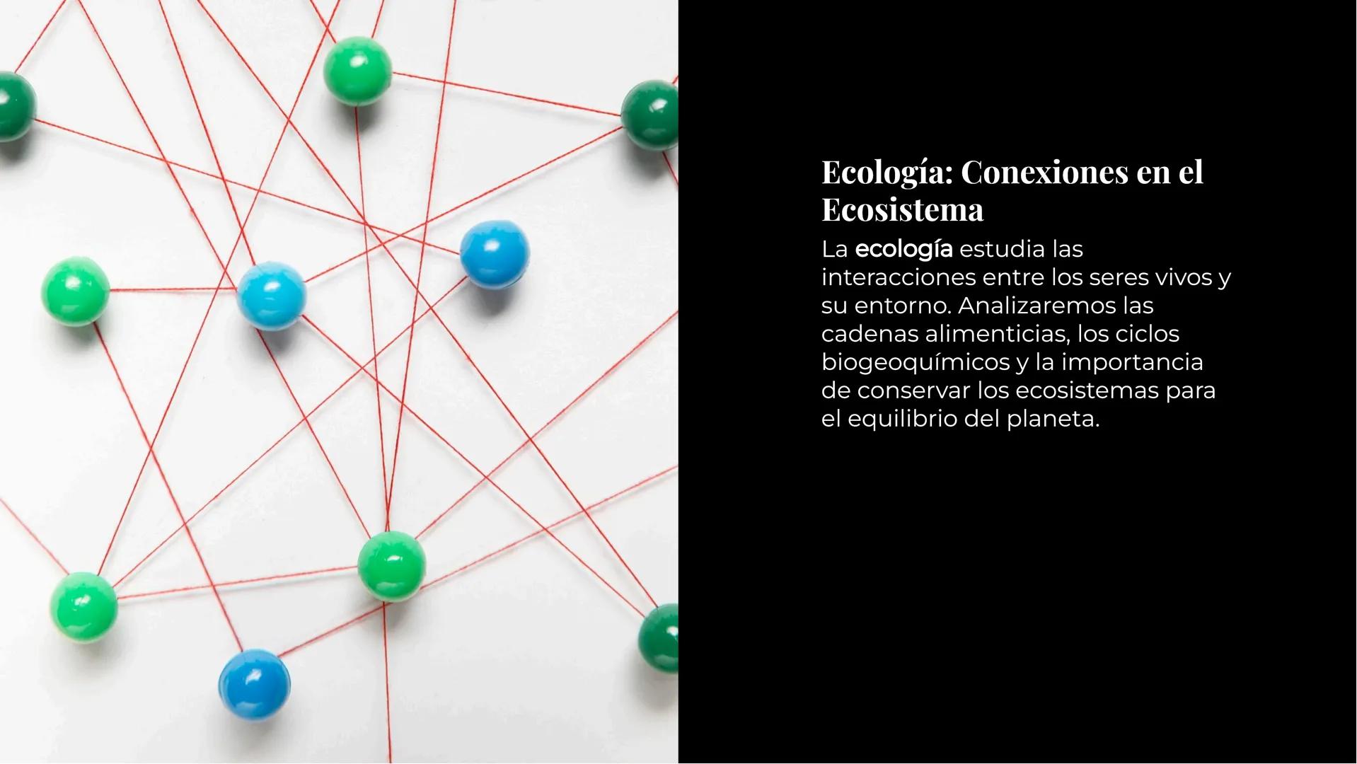 Explorando los
Misterios de la
Biología La Célula: Un Universo
Pequeño
La célula es la unidad básica de la vida.
Descubriremos sus organelos