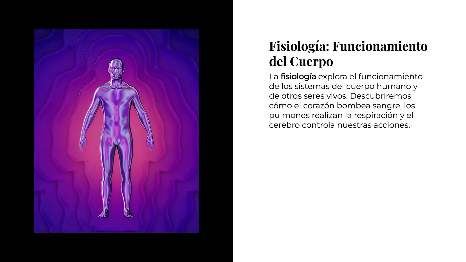 Explorando los
Misterios de la
Biología La Célula: Un Universo
Pequeño
La célula es la unidad básica de la vida.
Descubriremos sus organelos