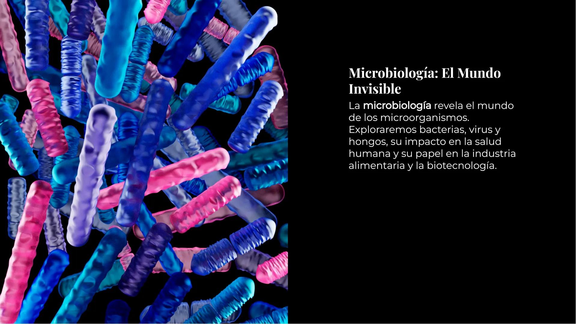 Explorando los
Misterios de la
Biología La Célula: Un Universo
Pequeño
La célula es la unidad básica de la vida.
Descubriremos sus organelos