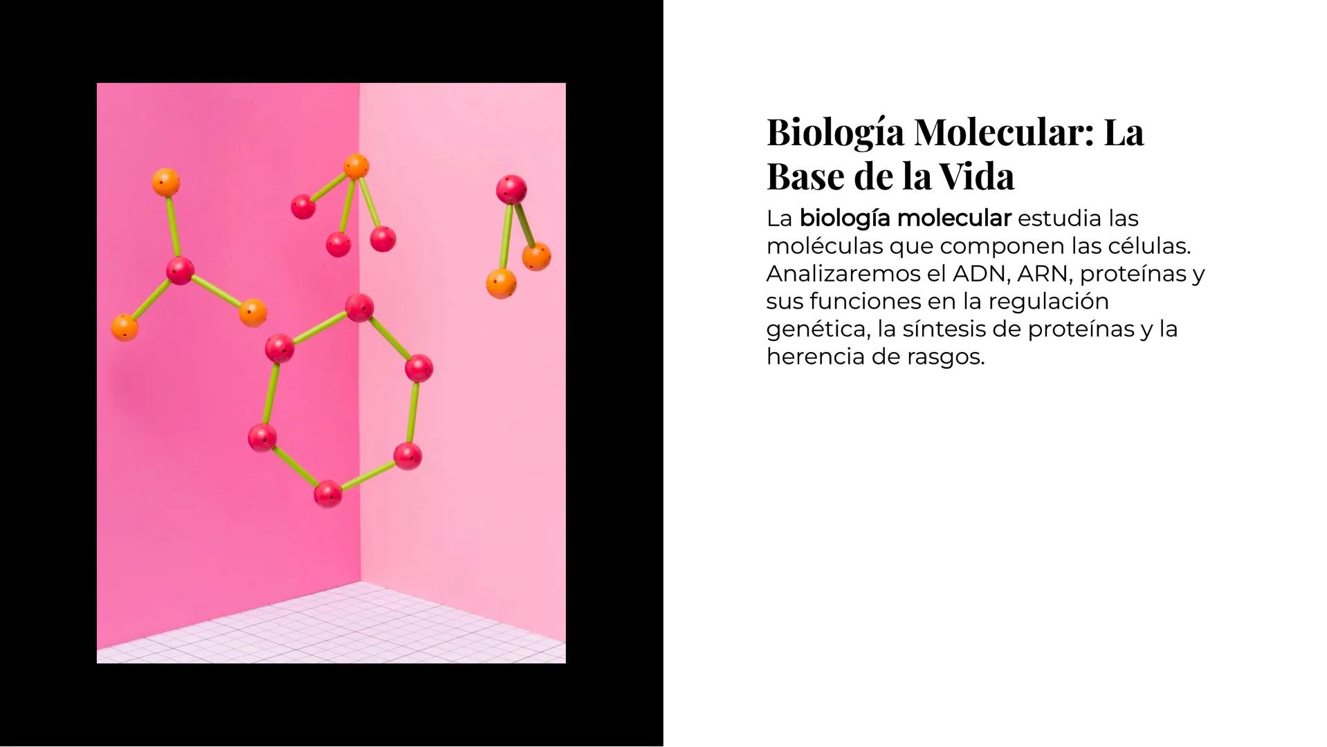 Explorando los
Misterios de la
Biología La Célula: Un Universo
Pequeño
La célula es la unidad básica de la vida.
Descubriremos sus organelos
